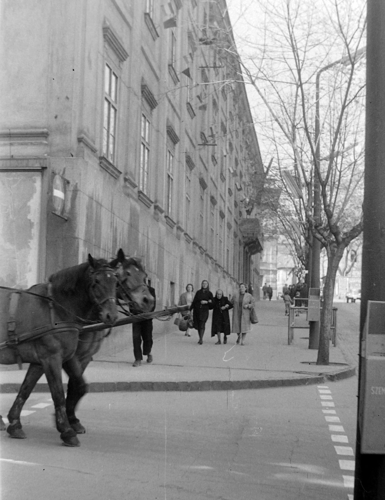 Hungary, Pécs, Széchenyi tér a Ciszterci (Széchenyi) köz sarkánál. Ciszterci Rend Nagy Lajos Gimnáziuma és Kollégiuma., 1961, Wein Sarolta, horse, Horse-drawn carriage, crosswalk, trash can, Fortepan #19394