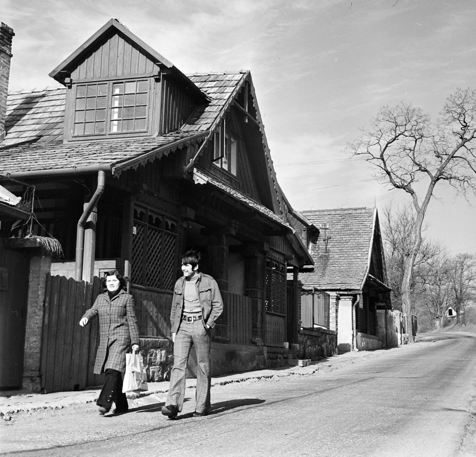 Hungary, Zebegény, Napraforgó utca., 1972, Gábor Viktor, Fortepan #193989