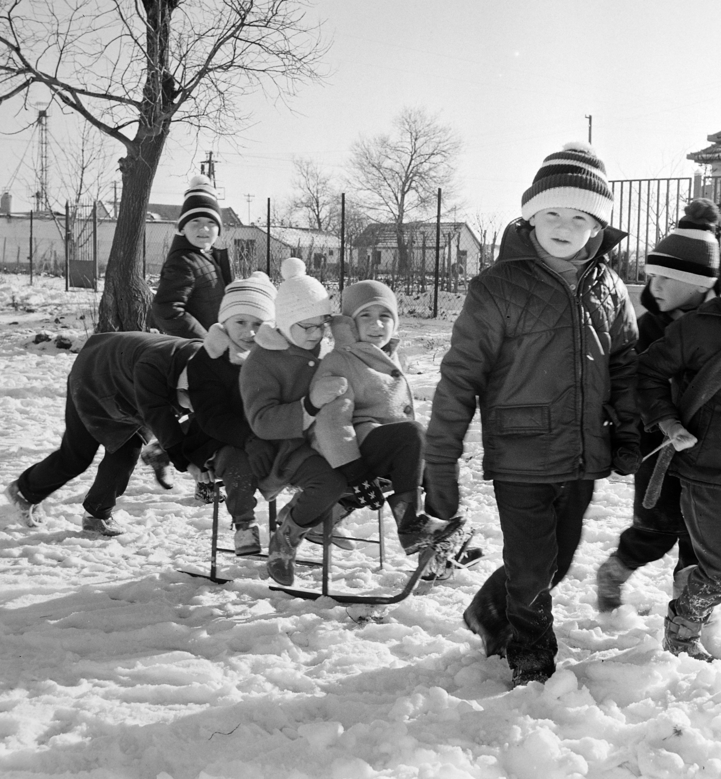1972, Gábor Viktor, snow, sledge, kids, Fortepan #194023