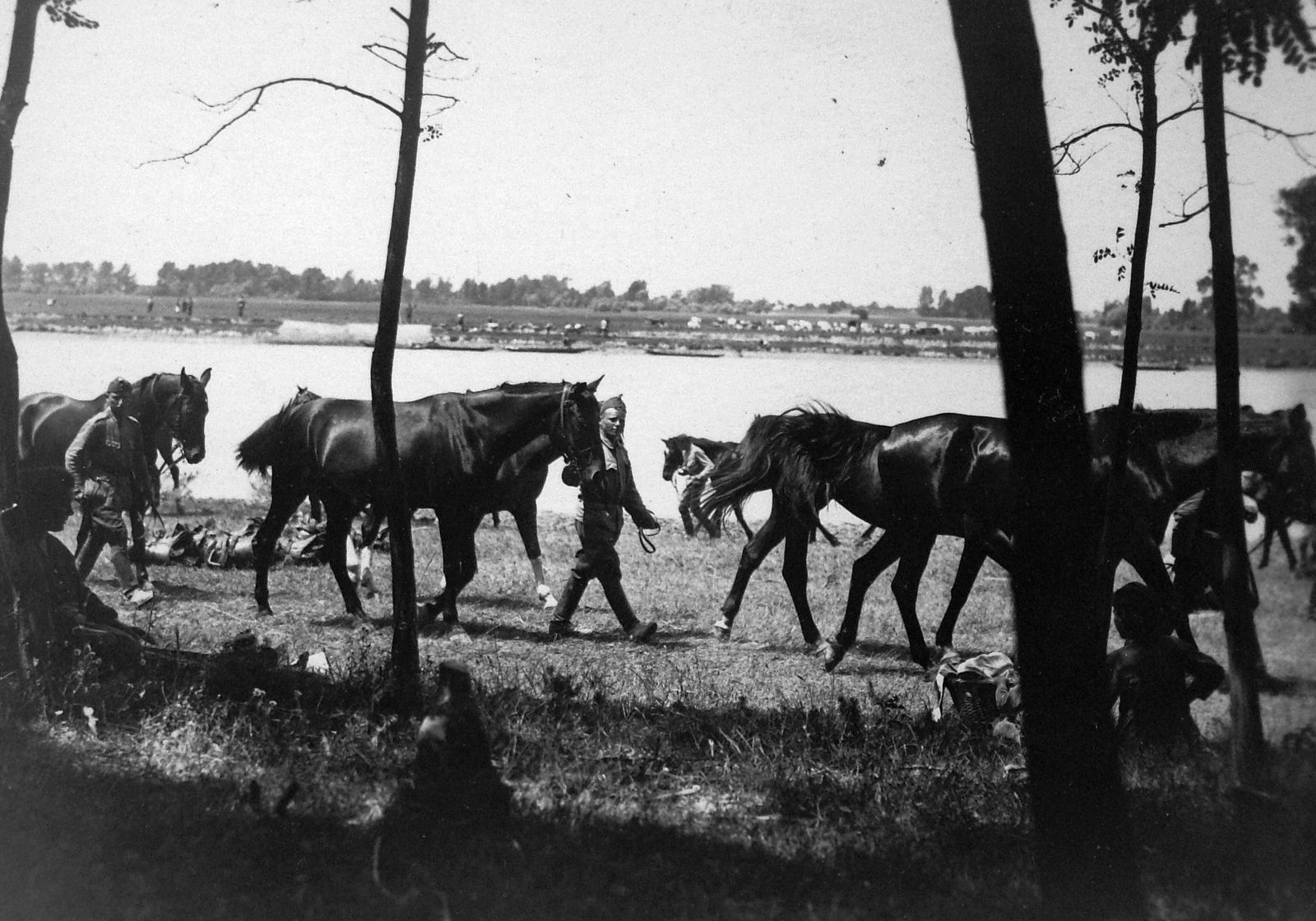 1918, Lencse Zoltán, First World War, uniform, river, horse, men, water surface, military, cattle, boat, soldier, shore, Fortepan #19406