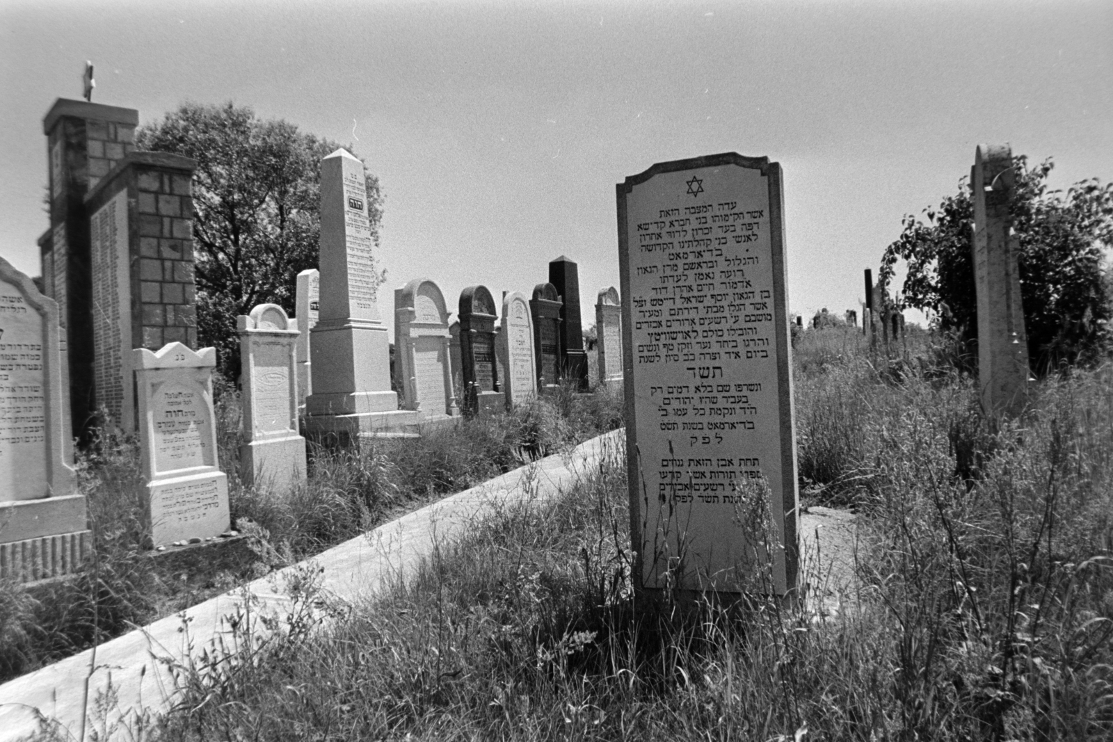 Hungary, Balassagyarmat, Temető utca 6., ortodox zsidó temető., 1974, Gábor Viktor, cemetery, tomb, tombstone, Fortepan #194221