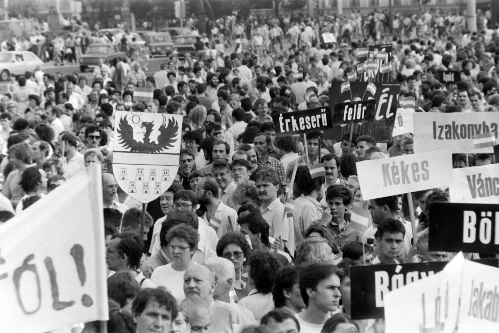 Hungary, Budapest XIV., Hősök tere, az erdélyi falurombolás elleni tüntetés 1988. június 27-én., 1988, Gábor Viktor, strike, Budapest, regime change, Fortepan #194584