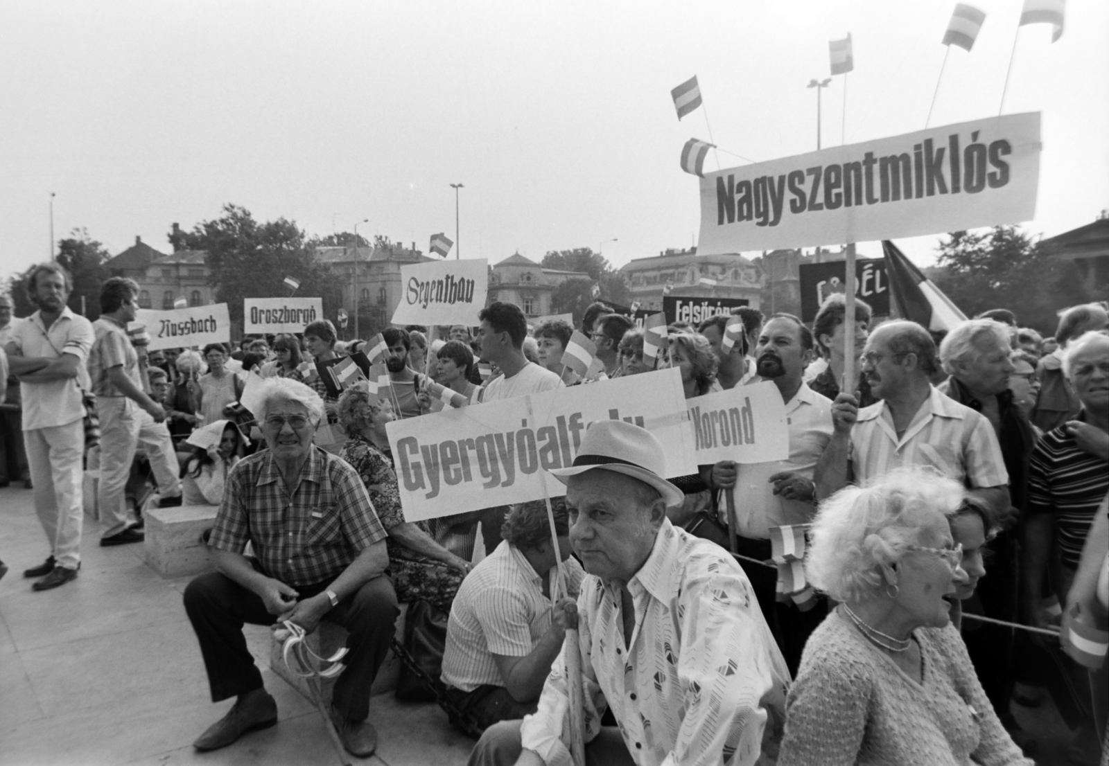 Magyarország, Budapest XIV., Hősök tere, az erdélyi falurombolás elleni tüntetés 1988. június 27-én., 1988, Gábor Viktor, tüntetés, Budapest, rendszerváltás, Fortepan #194598