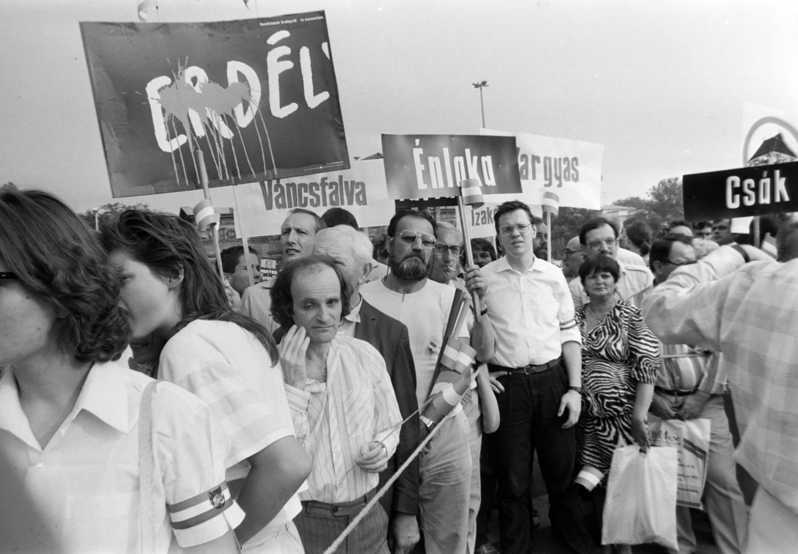Hungary, Budapest XIV., Hősök tere, az erdélyi falurombolás elleni tüntetés 1988. június 27-én., 1988, Gábor Viktor, strike, Budapest, regime change, Fortepan #194605