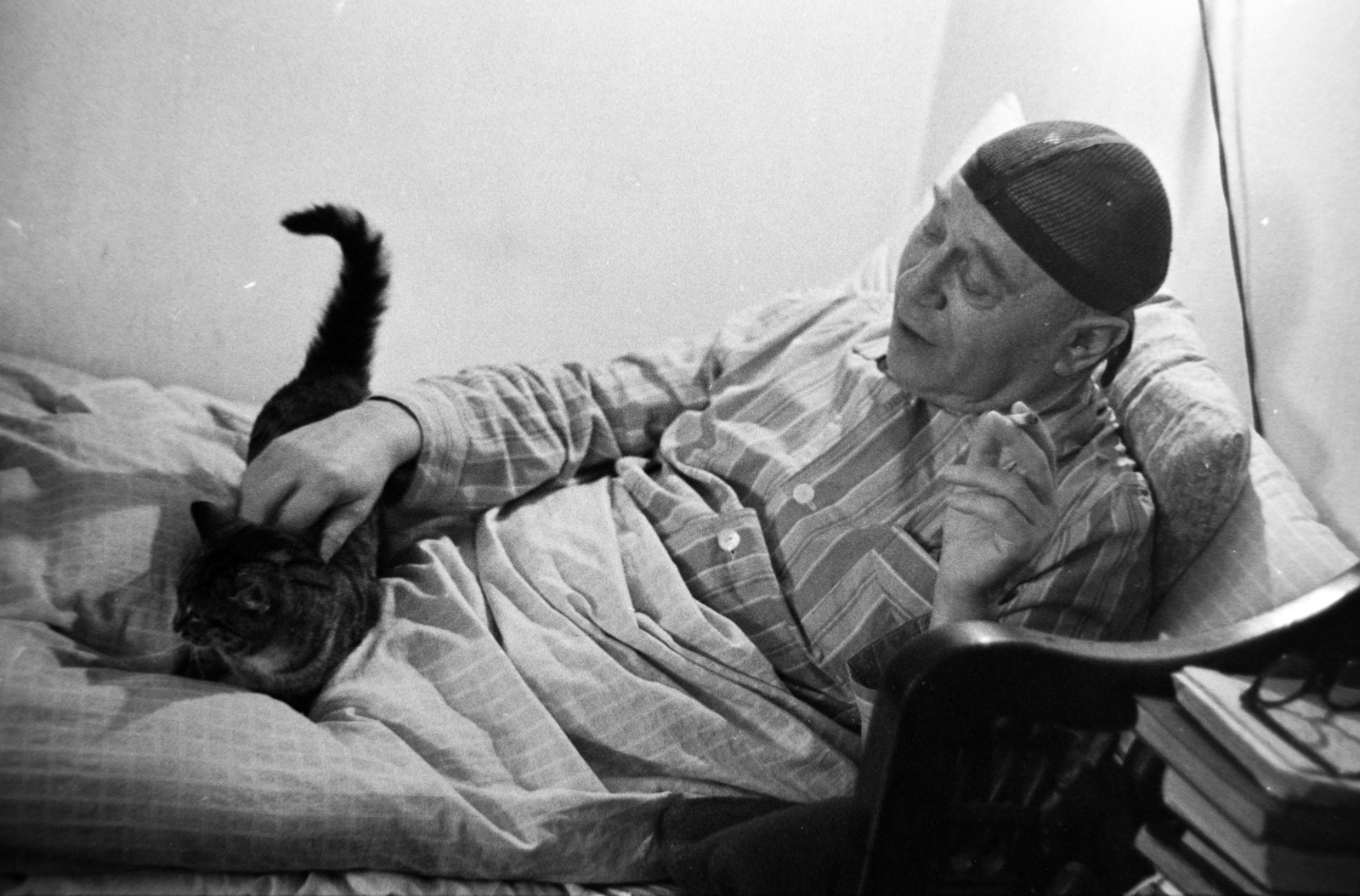 1970, Gábor Viktor, hairnet, nightgown, cat, Fortepan #194665