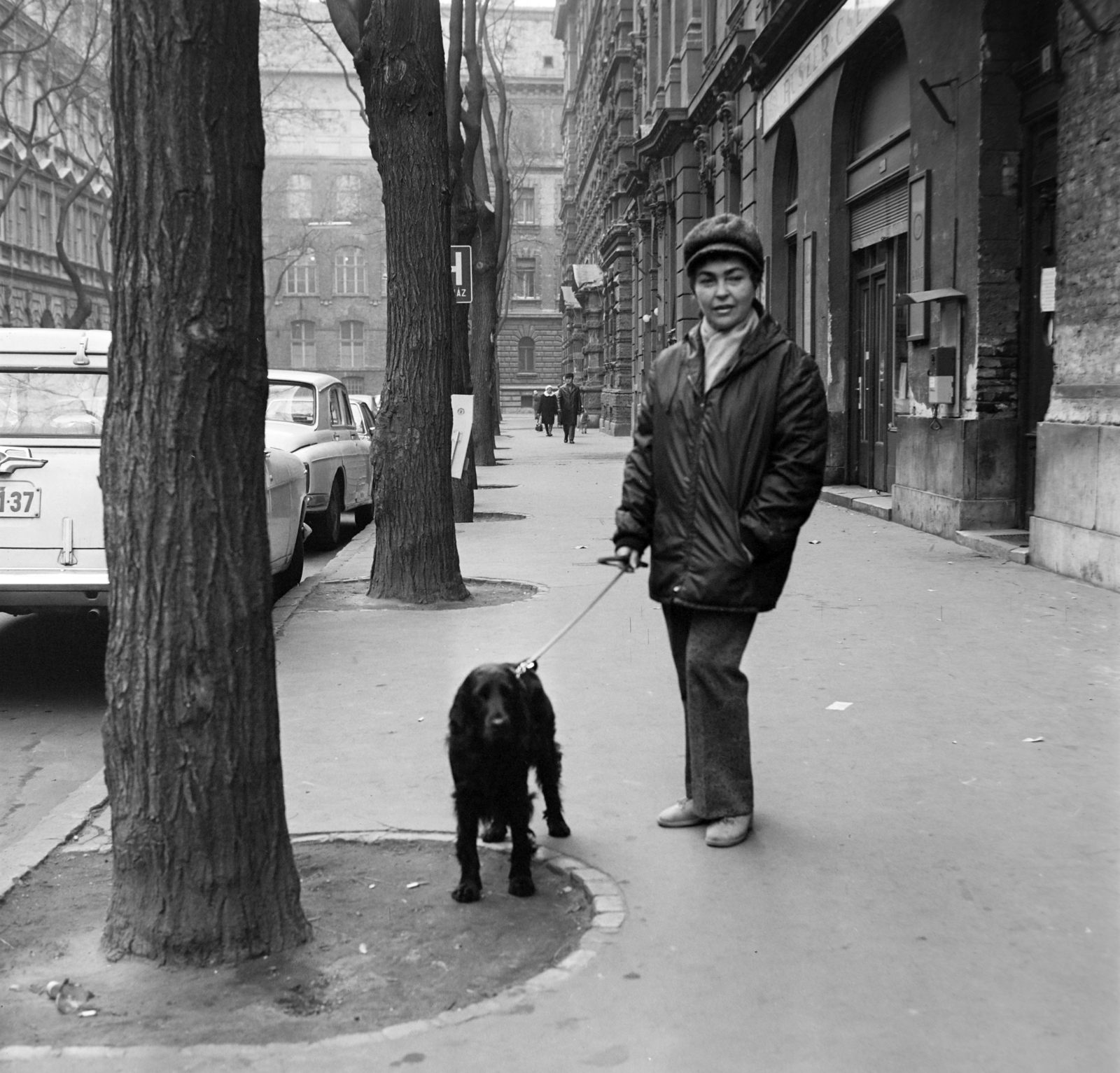 Magyarország, Budapest VI., a Benczúr utca a Felső erdősor felé nézve. Csernó Judit festőművész., 1976, Bojár Sándor, kutya, Budapest, kutyasétáltatás, Fortepan #194775
