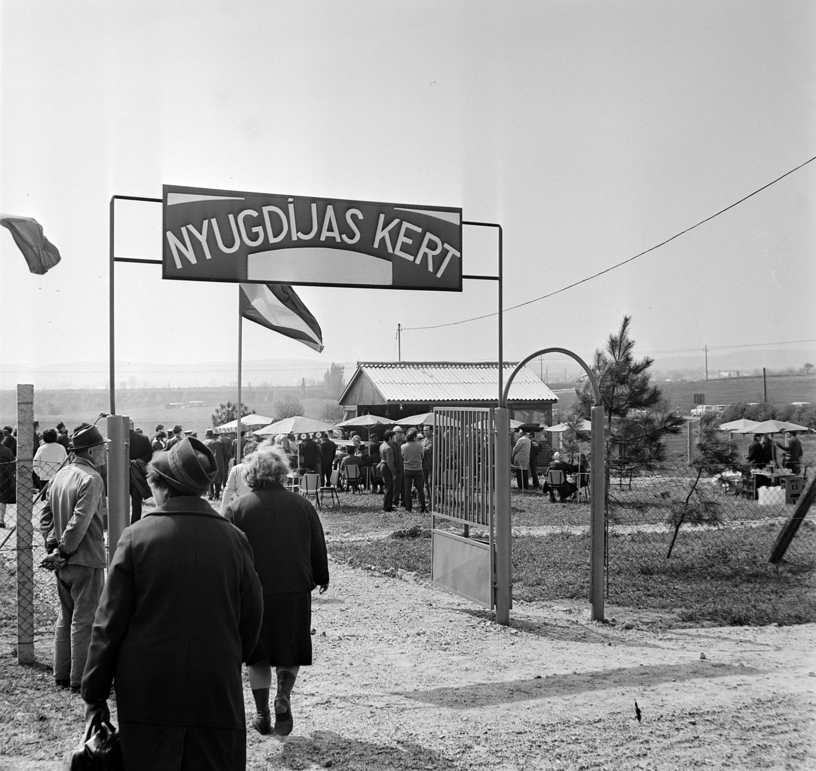 Hungary, Budaörs, Virág utca 6., a Nyugdíjas kert megnyitása 1974. április 30-án., 1974, Bojár Sándor, Fortepan #194778