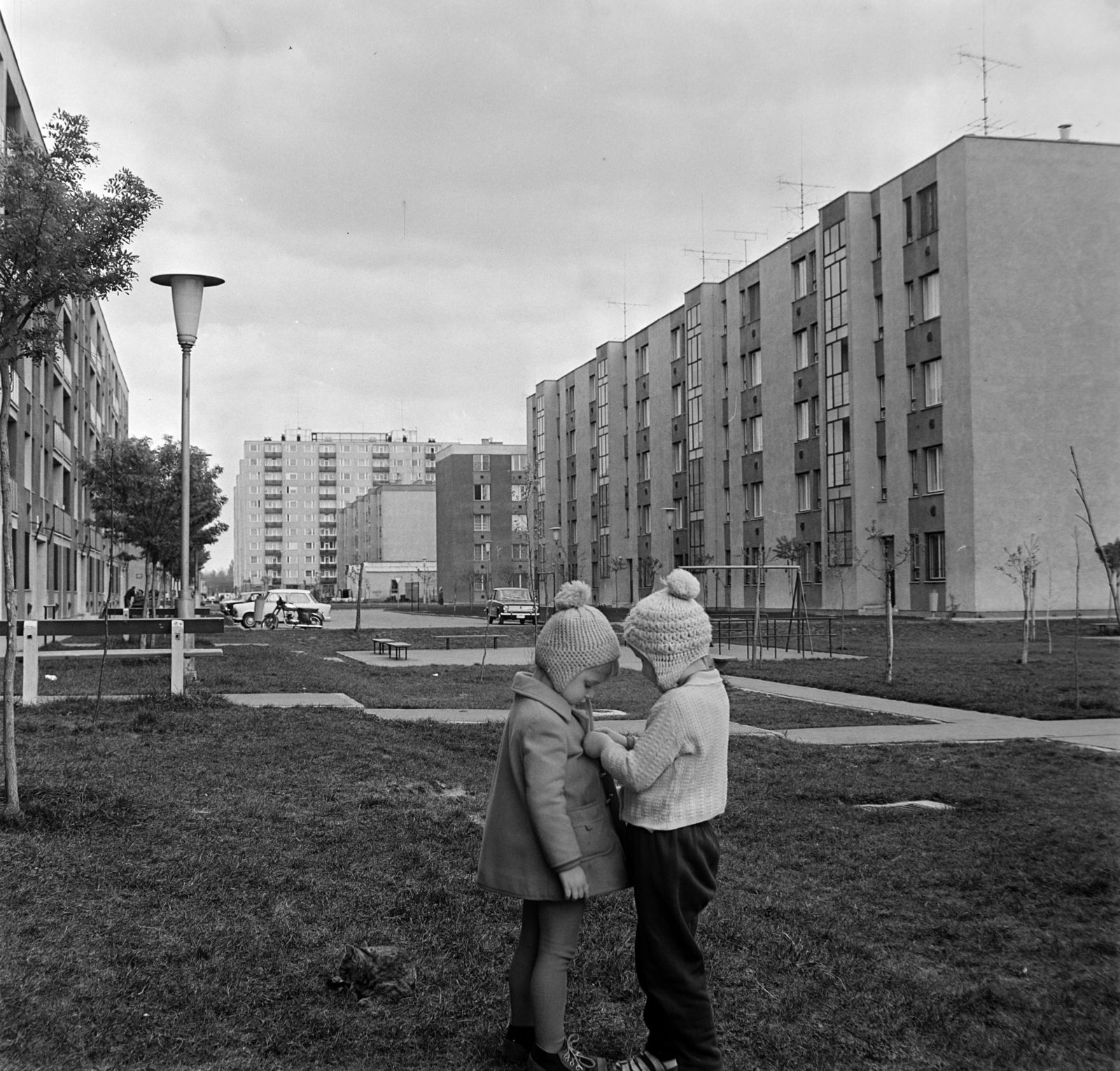 Hungary, Kecskemét, Széchenyiváros, Stádium utca a Világ utca és az Akadémia körút tízemeletes panelházai felé nézve., 1973, Bojár Sándor, Fortepan #194820