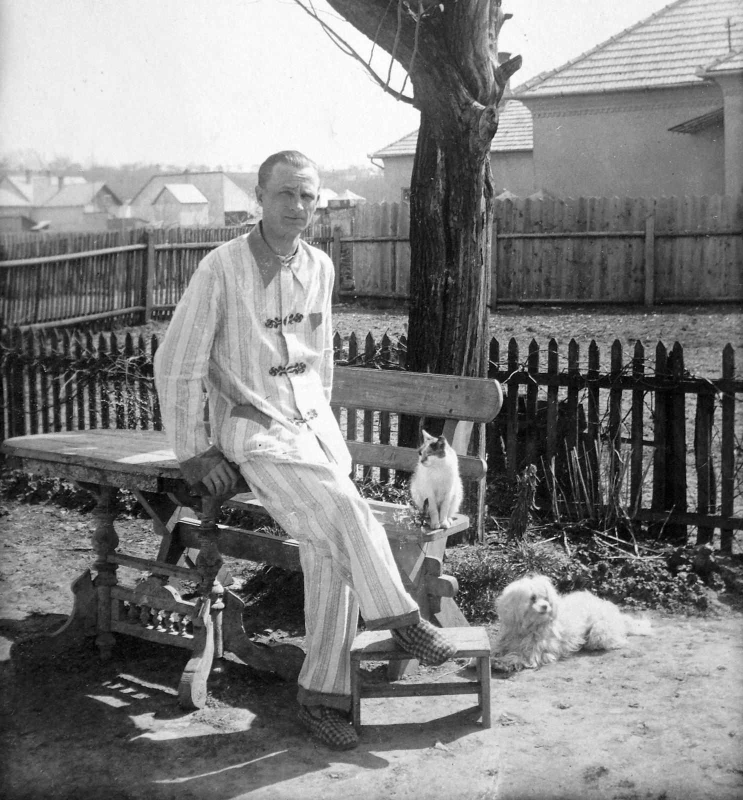 1934, Fortepan, dog, cat, nightgown, Fortepan #19493
