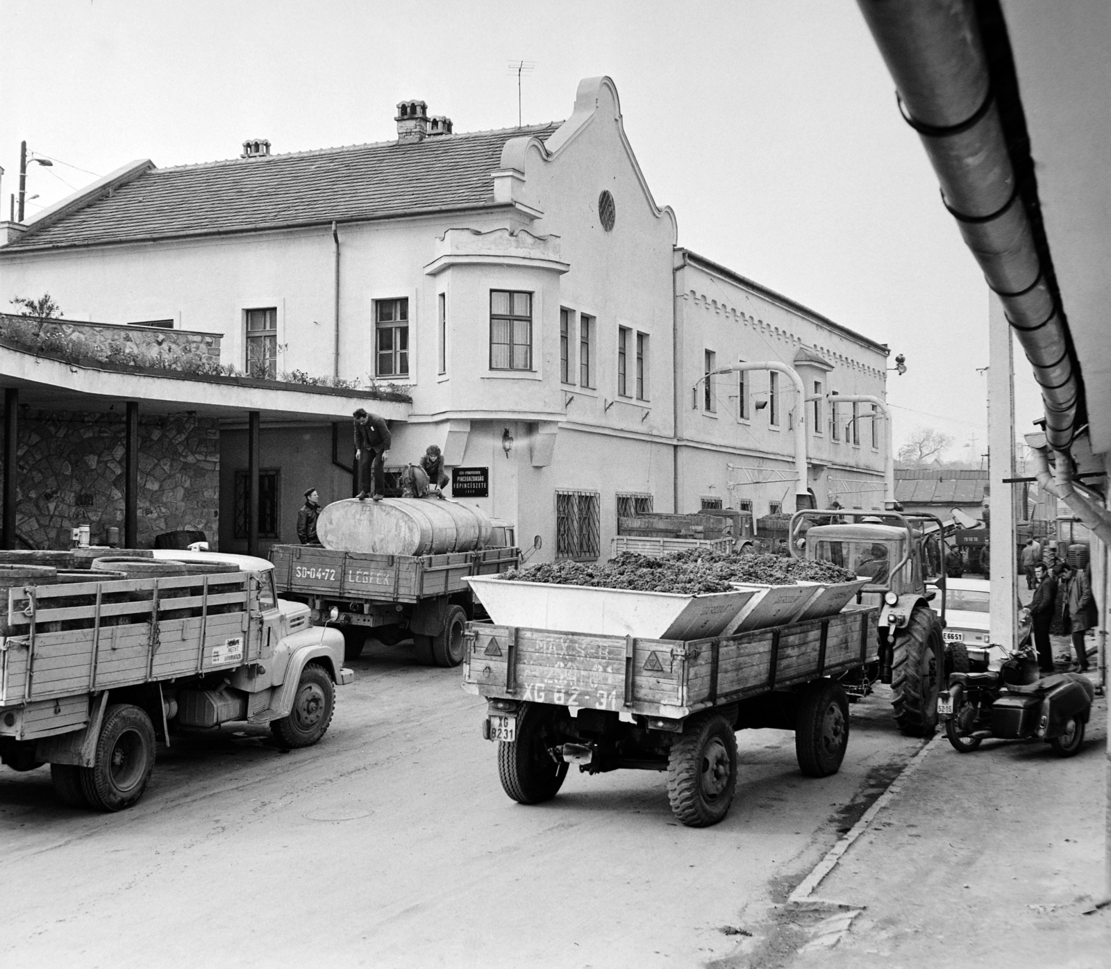 Hungary, Eger, Árnyékszala utca, az Eger- Gyöngyösvidéki Pincegazdaság Egri Főpincészete., 1972, Bojár Sándor, winery, harvest, commercial vehicle, motorcycle with sidecar, number plate, Fortepan #194966