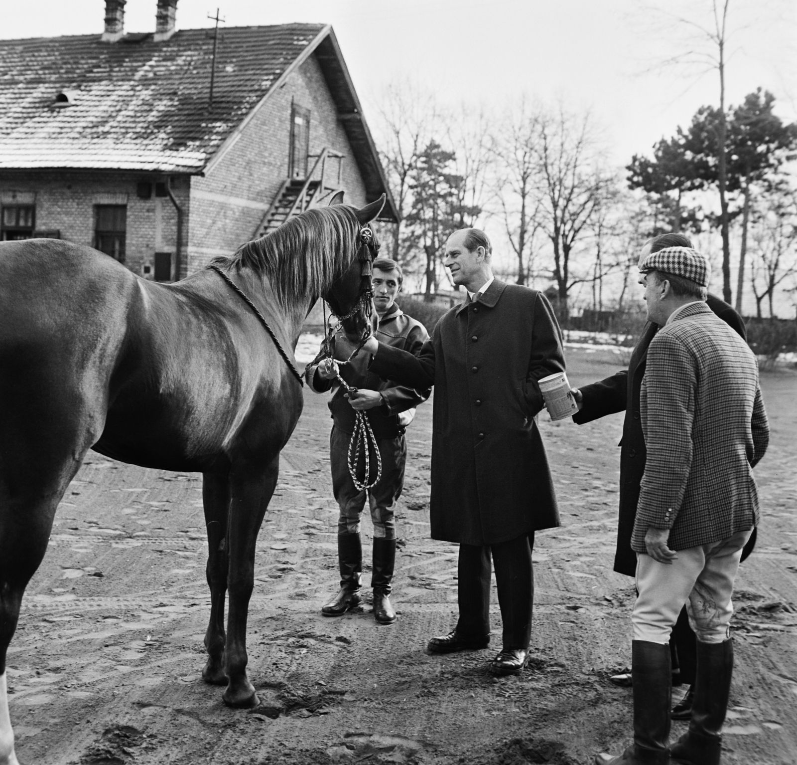 Hungary, Tata, a Bábolna Nemzeti Ménesbirtok Dióspusztai Angol Telivér Ménese. A felvétel Fülöp edinburgh-i herceg (a lovat eteti) látogatása alkalmával készült., 1973, Bojár Sándor, Fortepan #195219