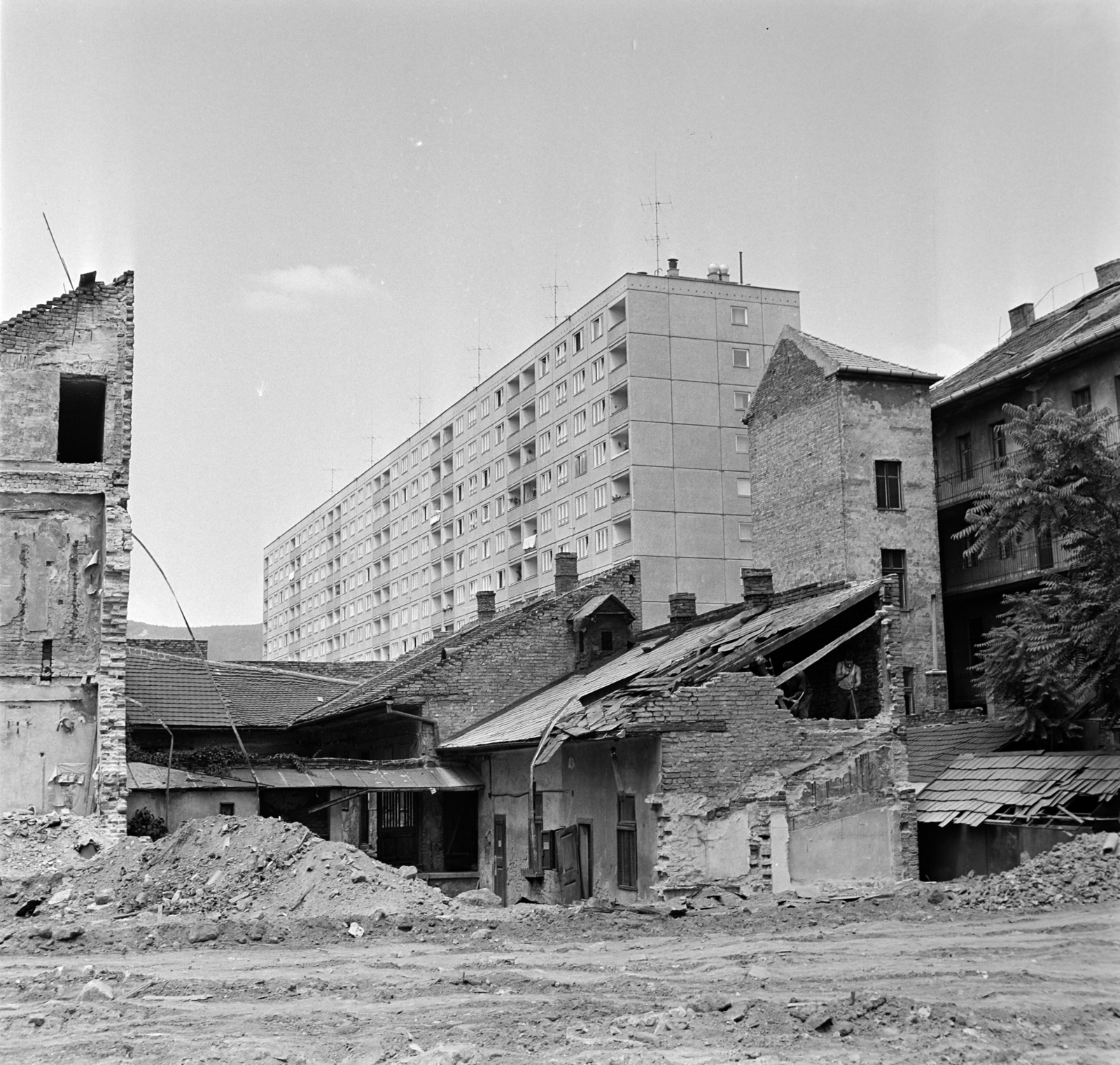 Hungary, Óbuda, Budapest III., a Kiskorona (Magyar Lajos) utca felől a Pacsirtamező (Korvin Ottó) utca felé nézve, háttérben a Szőlő köz 2-12., 1973, Bojár Sándor, Budapest, Fortepan #195295