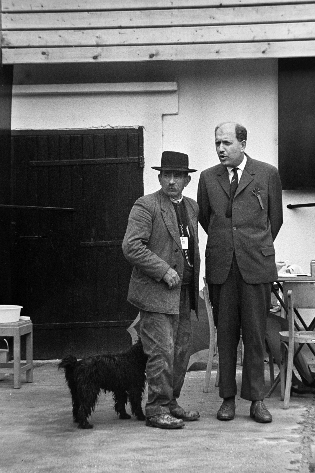 1970, Bojár Sándor, shepherd, dog, shepherd dog, Fortepan #195682