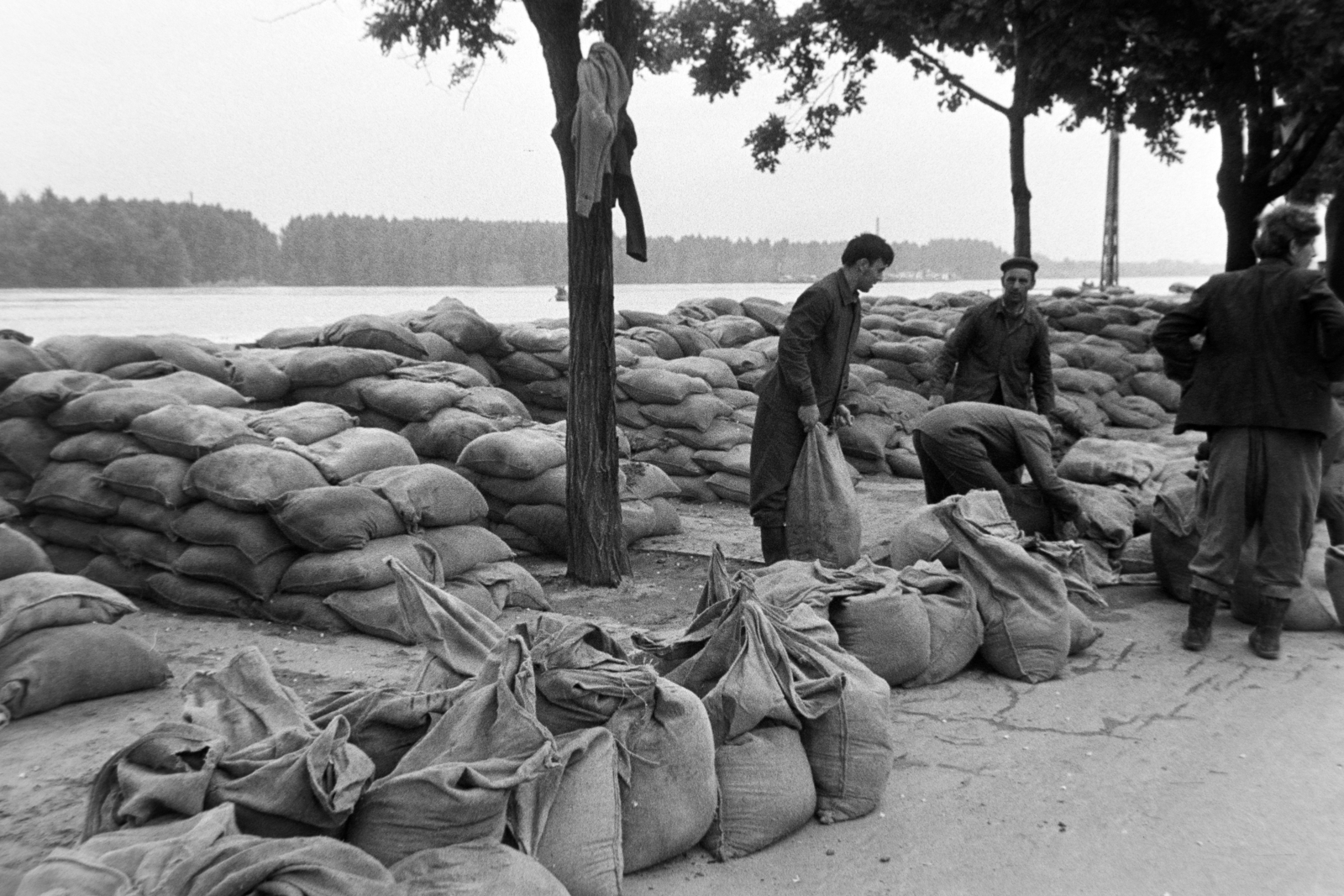 Hungary, Szeged, Korányi fasor a Somogyi utcánál. A felvétel az 1970. tavaszi árvíz idején készült., 1970, Bojár Sándor, flood, sandbag, Fortepan #195692