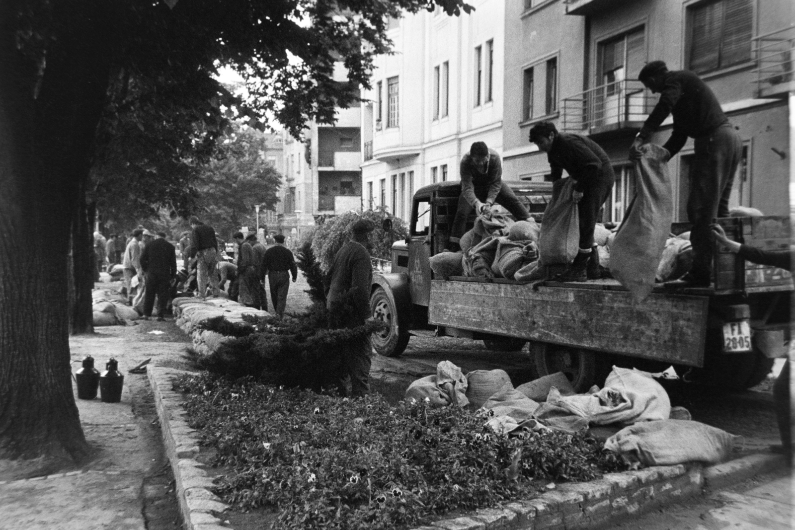 Hungary, Szeged, Korányi fasor, balra középen a Sellő ház. 1970. tavaszi árvíz., 1970, Bojár Sándor, Fortepan #195707