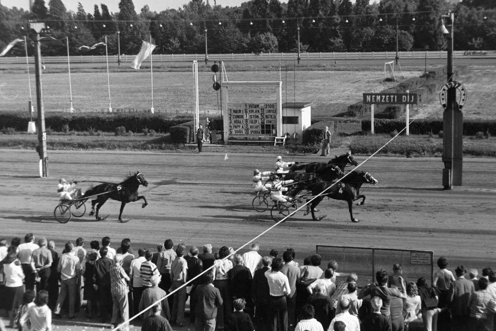 Magyarország, Budapest VIII., Kerepesi úti Ügetőpálya, az 1977. évi Nemzeti Díj befutója., 1977, Bojár Sándor, lóverseny, Budapest, ügető verseny, Fortepan #195818