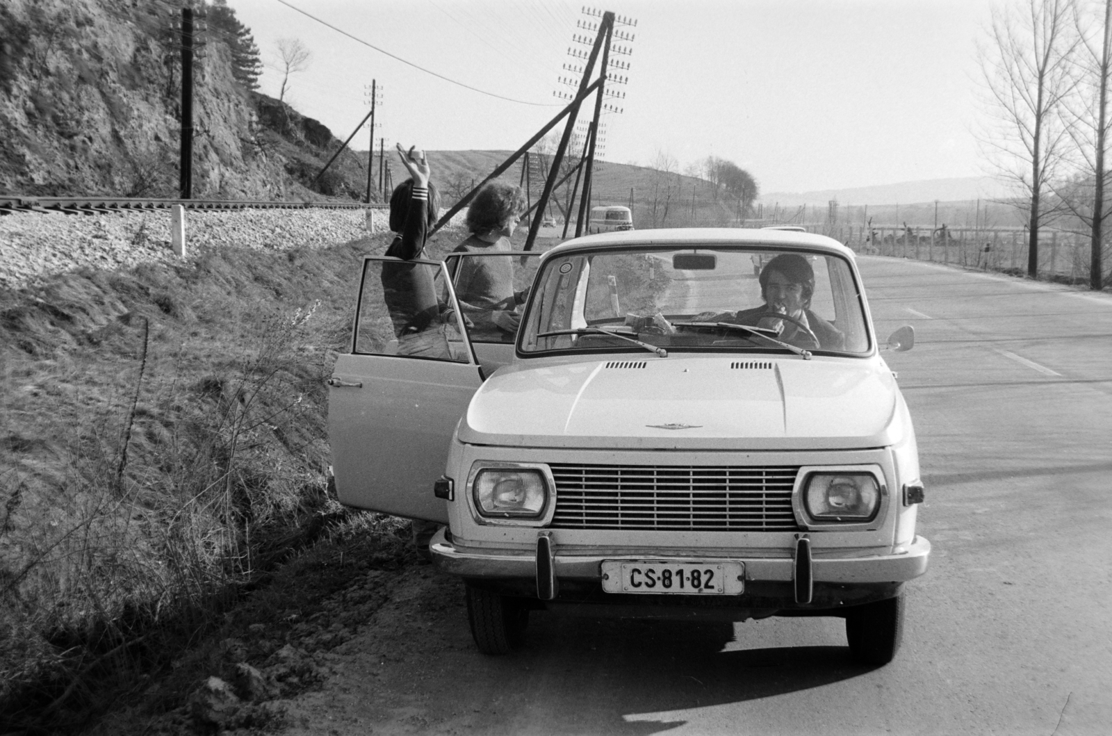 1973, Bogyó Virág, telegraph-pole, number plate, Fortepan #196016