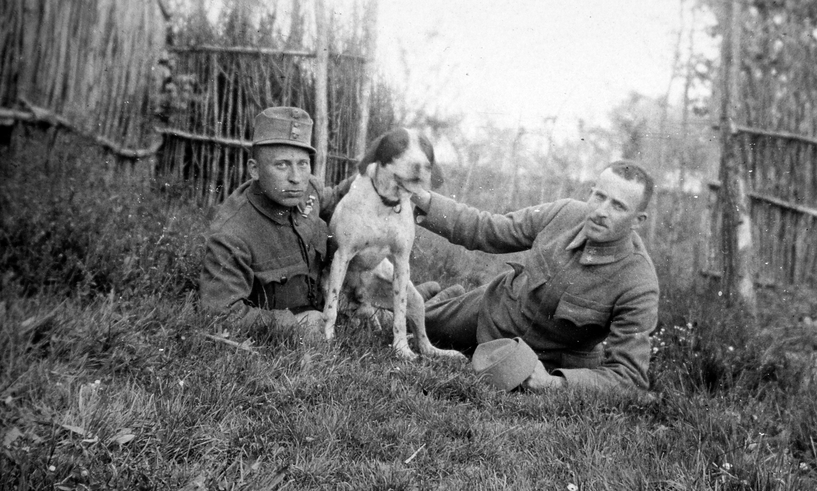 1918, Fortepan, First World War, dog, uniform, garden, men, prop up on elbows, Fortepan #19607