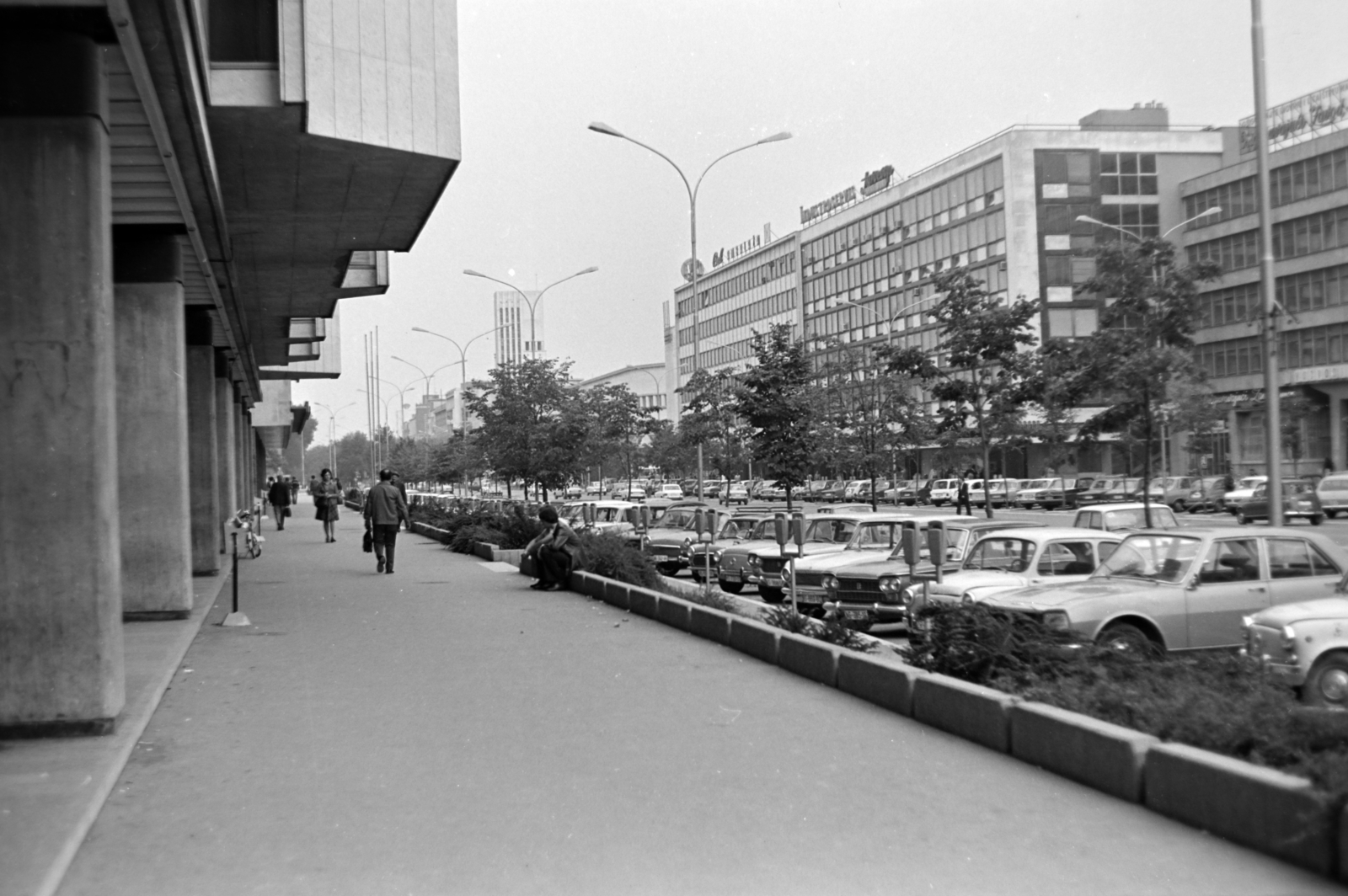 Serbia, Novi Sad, Bulevar Mihajla Pupina (Crvene armije)., 1974, Bogyó Virág, Yugoslavia, Fortepan #196103