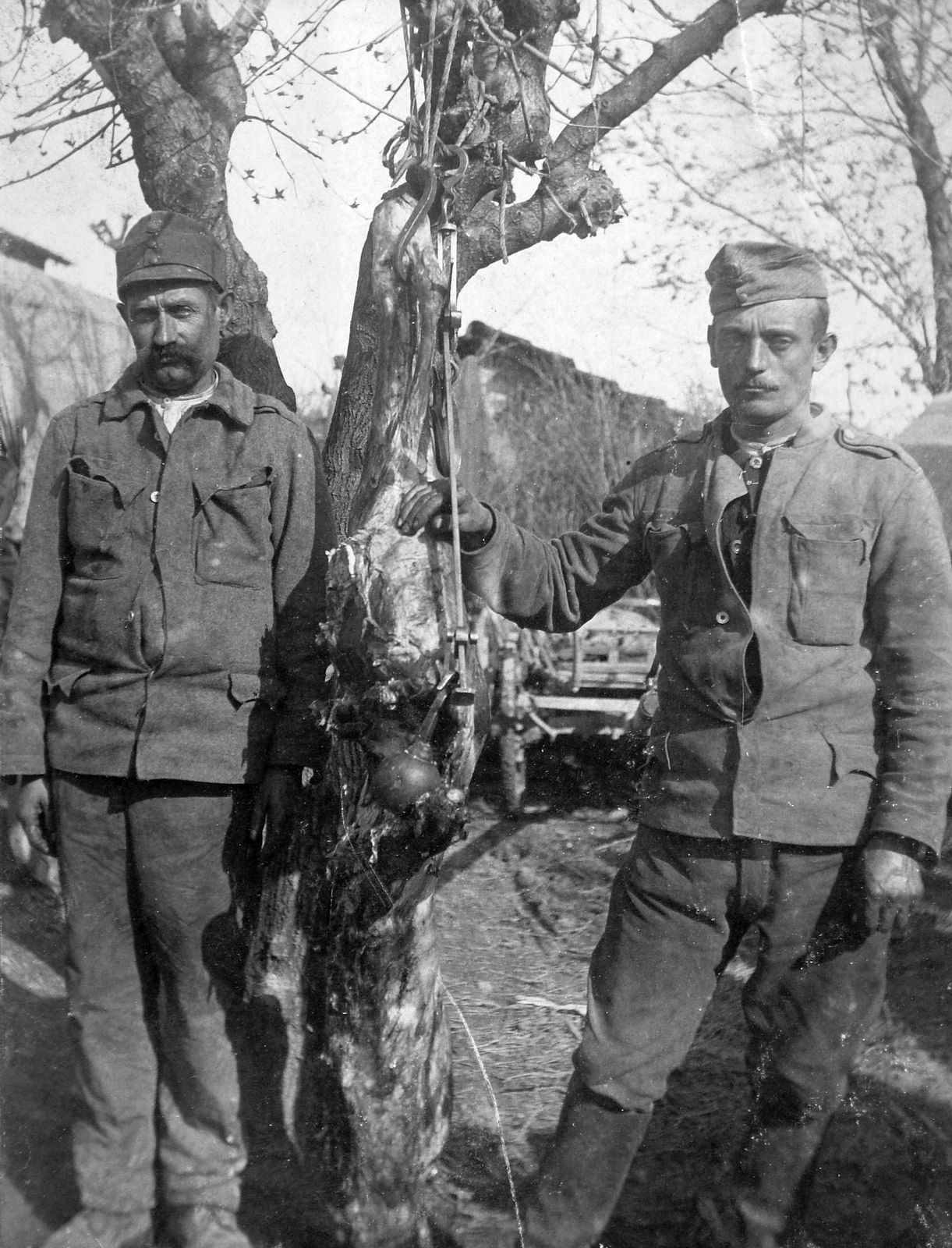1918, Fortepan, First World War, uniform, men, cattle, Fortepan #19616