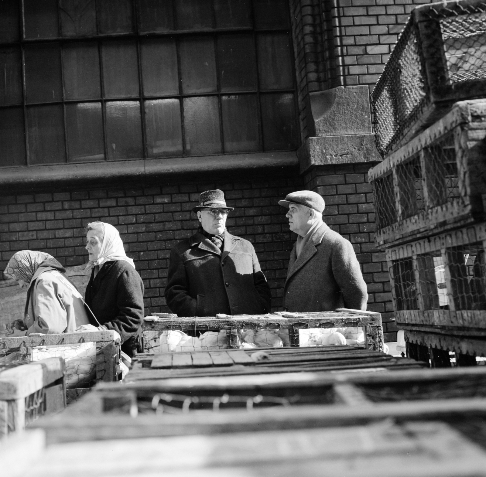 Hungary, Budapest IX., Sóház utca, baromfi vásár a Központi Vásárcsarnok mellett., 1967, Zofia Rydet, market, Budapest, Fortepan #196160