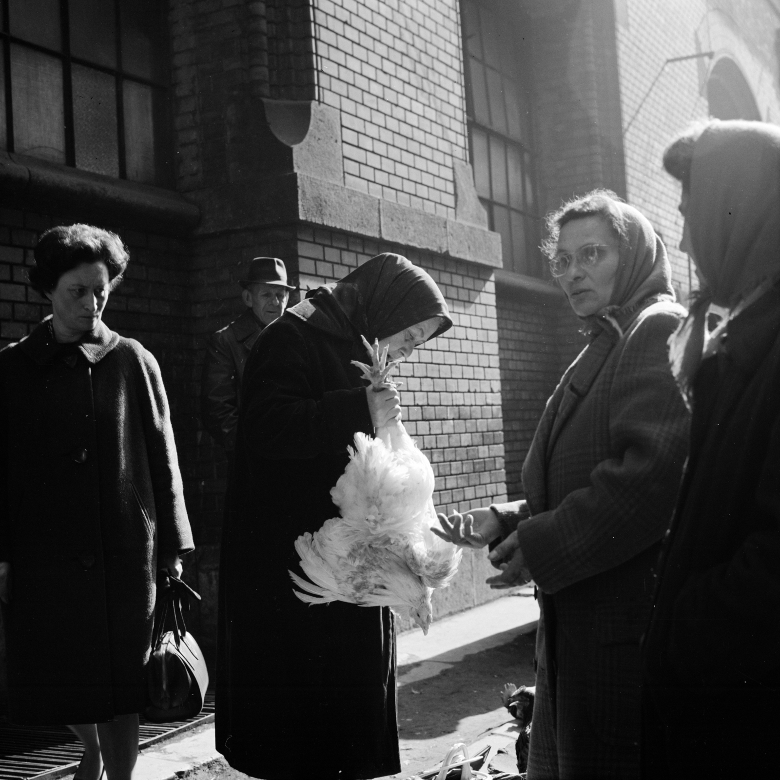 Hungary, Budapest IX., Sóház utca, baromfi vásár a Központi Vásárcsarnok mellett., 1967, Zofia Rydet, market, poultry, Budapest, Fortepan #196204