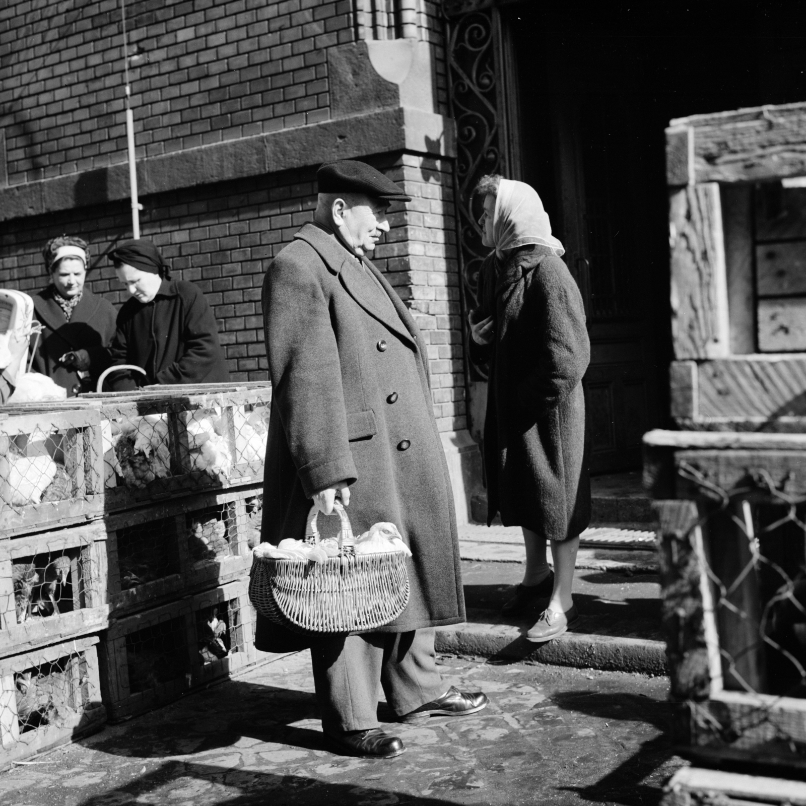 Hungary, Budapest IX., Sóház utca, baromfi vásár a Központi Vásárcsarnok mellett., 1967, Zofia Rydet, market, poultry, basket, pen, Budapest, Fortepan #196205