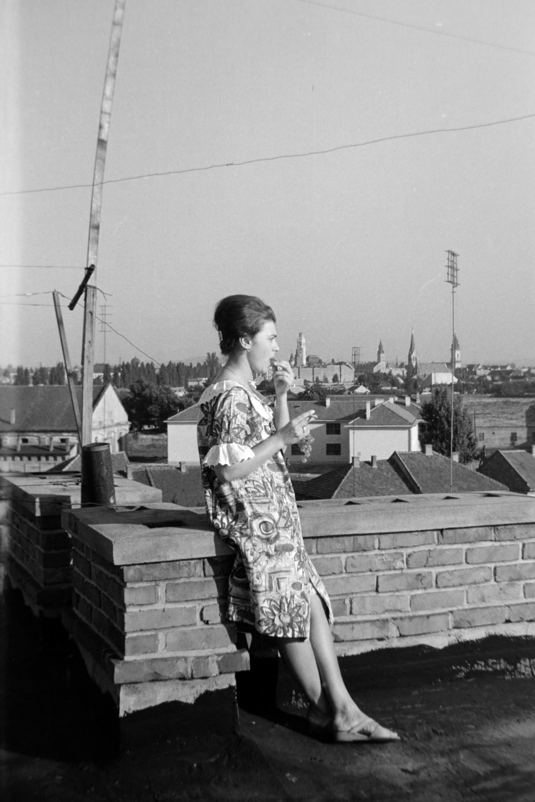 Romania,Transylvania, Oradea, kilátás egy Vitéz utcai (Bulevardul Decebal) ház tetejéről a Belváros felé., 1966, Szűcs Lóránd, Fortepan #196397