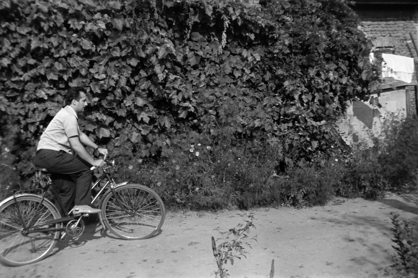 Romania,Transylvania, Oradea, Biharpüspöki (hajdan önálló, ma a város része)., 1968, Szűcs Lóránd, bicycle, Fortepan #196437