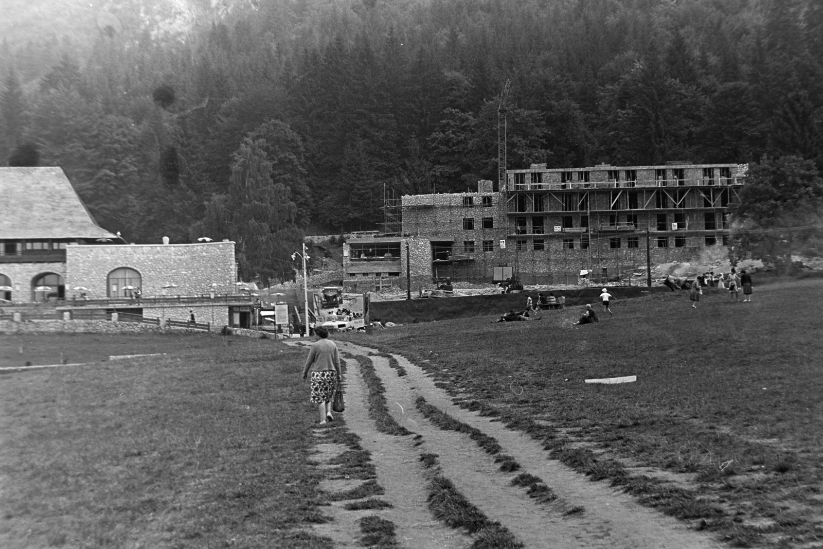 Romania,Transylvania, Budureasa, Biharfüred üdülőtelep., 1969, Szűcs Lóránd, Fortepan #196492
