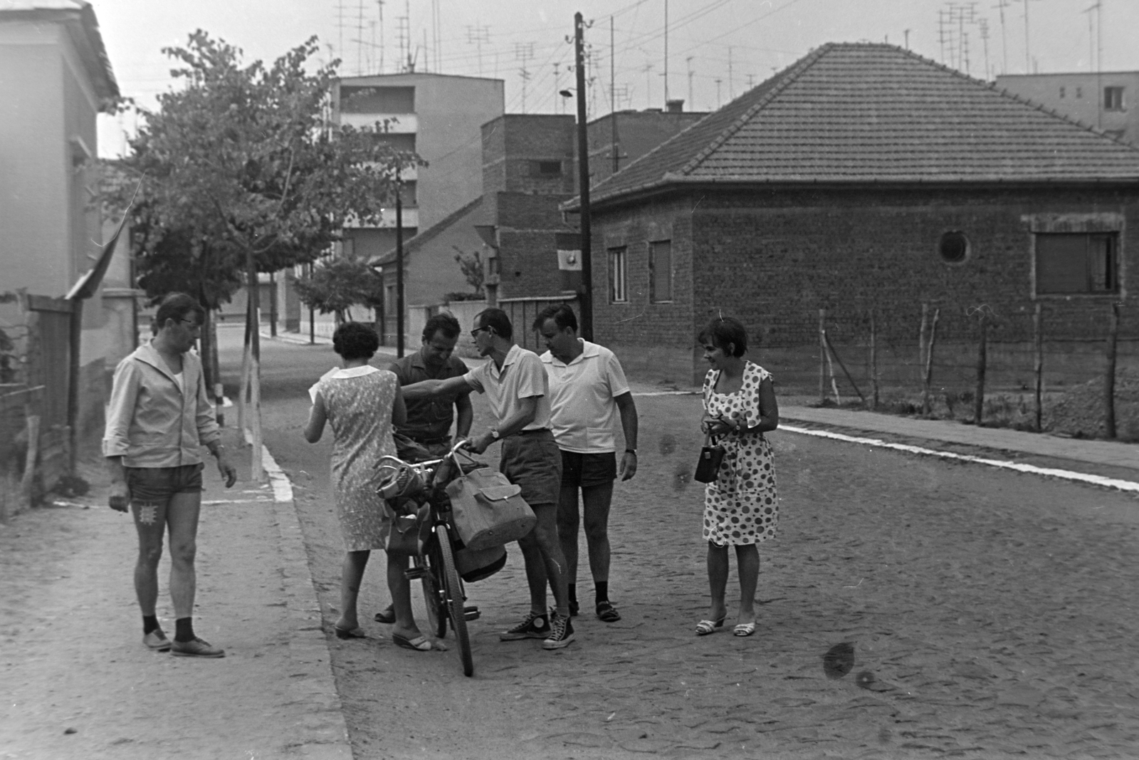 Romania,Transylvania, Oradea, Lovas utca (Strada Călărașilor) a Vitéz utca (Bulevardul Decebal) felé nézve., 1967, Szűcs Lóránd, bicycle, Fortepan #196497