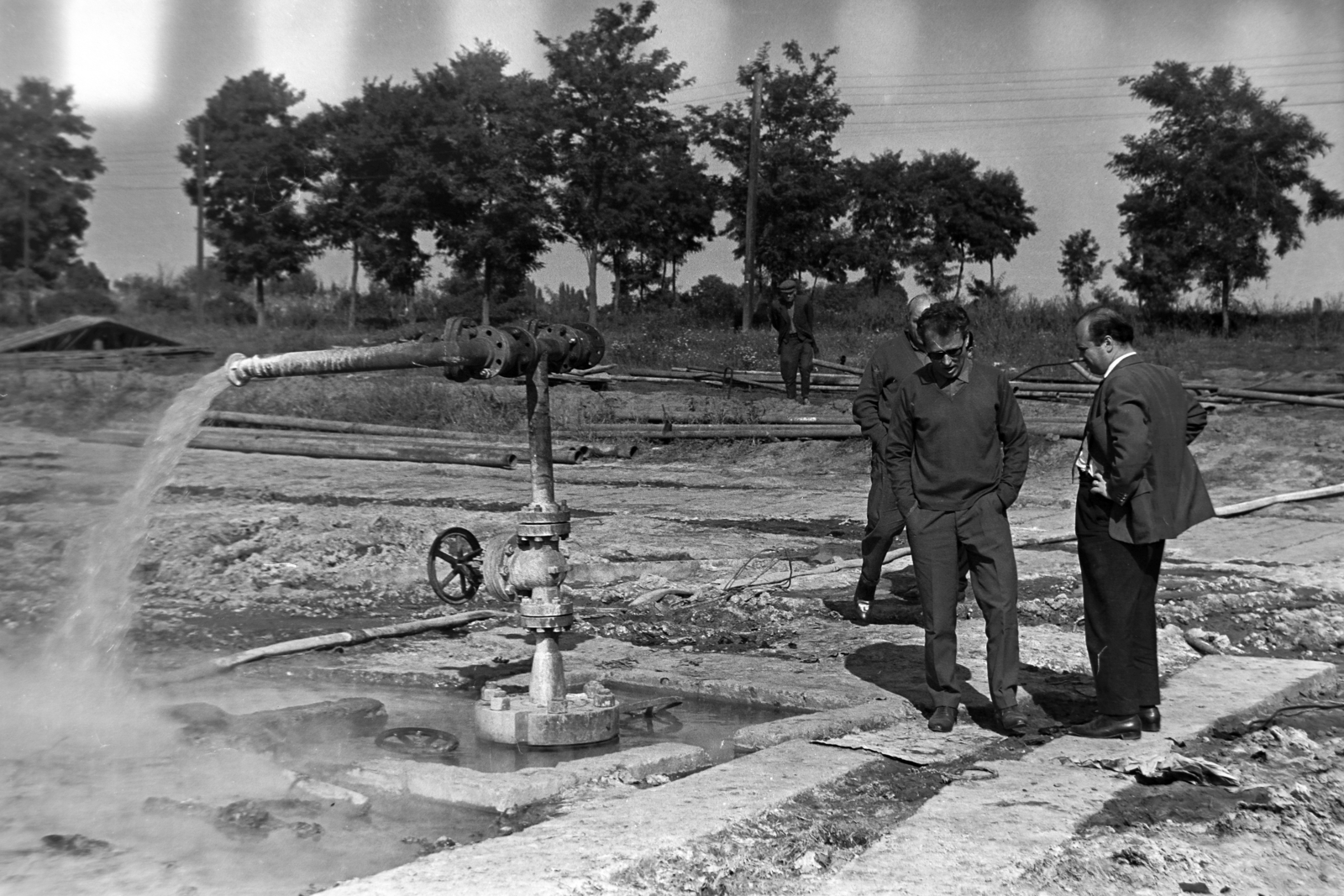 1972, Szűcs Lóránd, Fortepan #196574