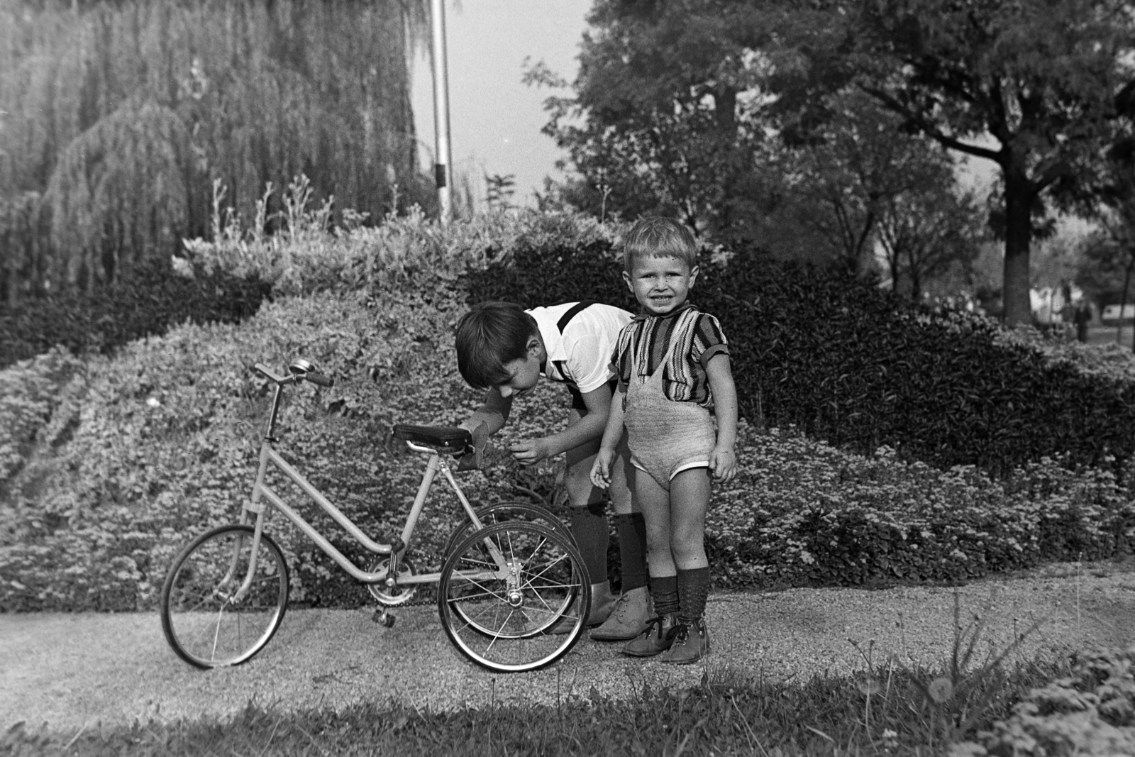 1972, Szűcs Lóránd, kids' tricycles, Fortepan #196597