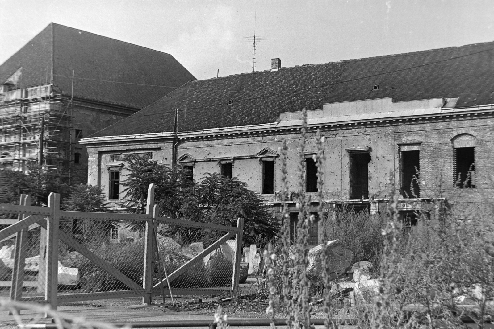 Hungary, Budapest I., Szent György tér, a romos Sándor-palota., 1973, Szűcs Lóránd, Budapest, Fortepan #196625