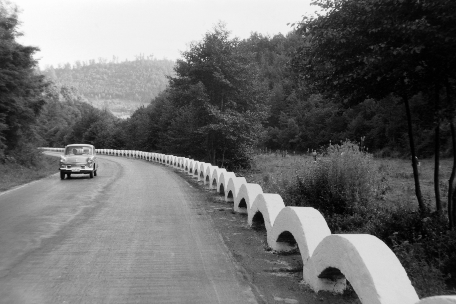 1966, Szűcs Lóránd, Fortepan #196683