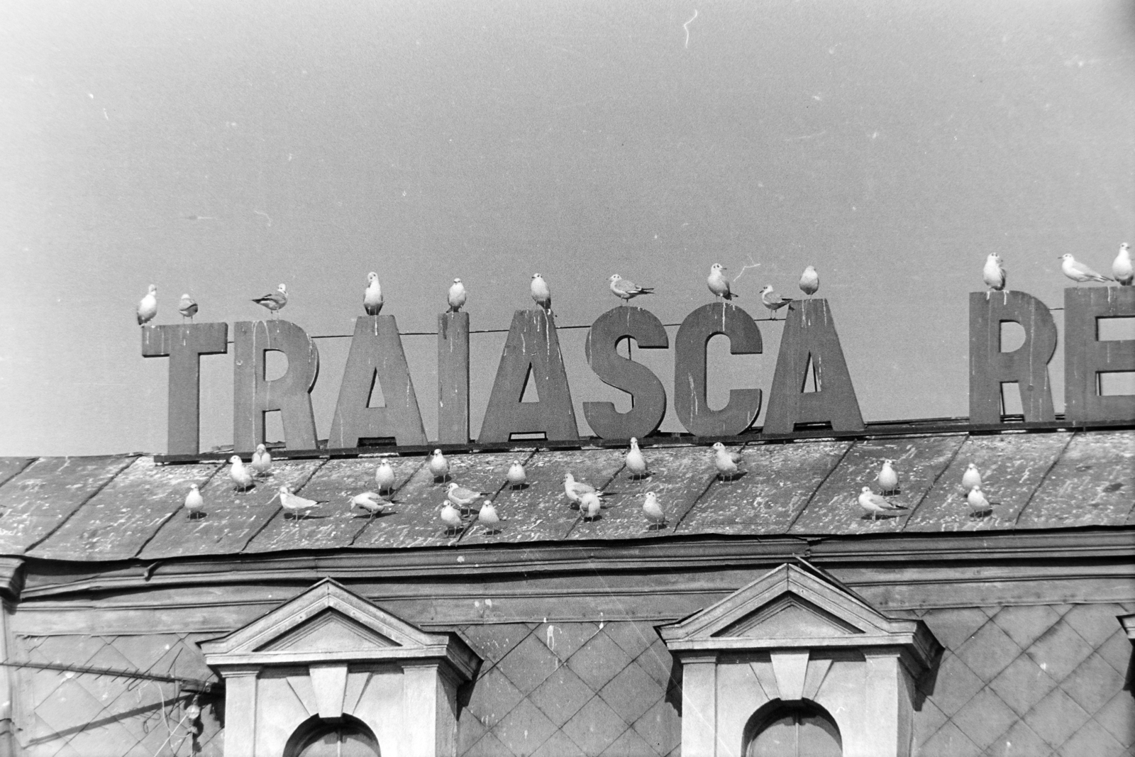 Románia,Erdély, Nagyvárad, a Lévay-ház a Strada Libertății felől., 1990, Szűcs Tamás, sirály, román felirat, Fortepan #196701