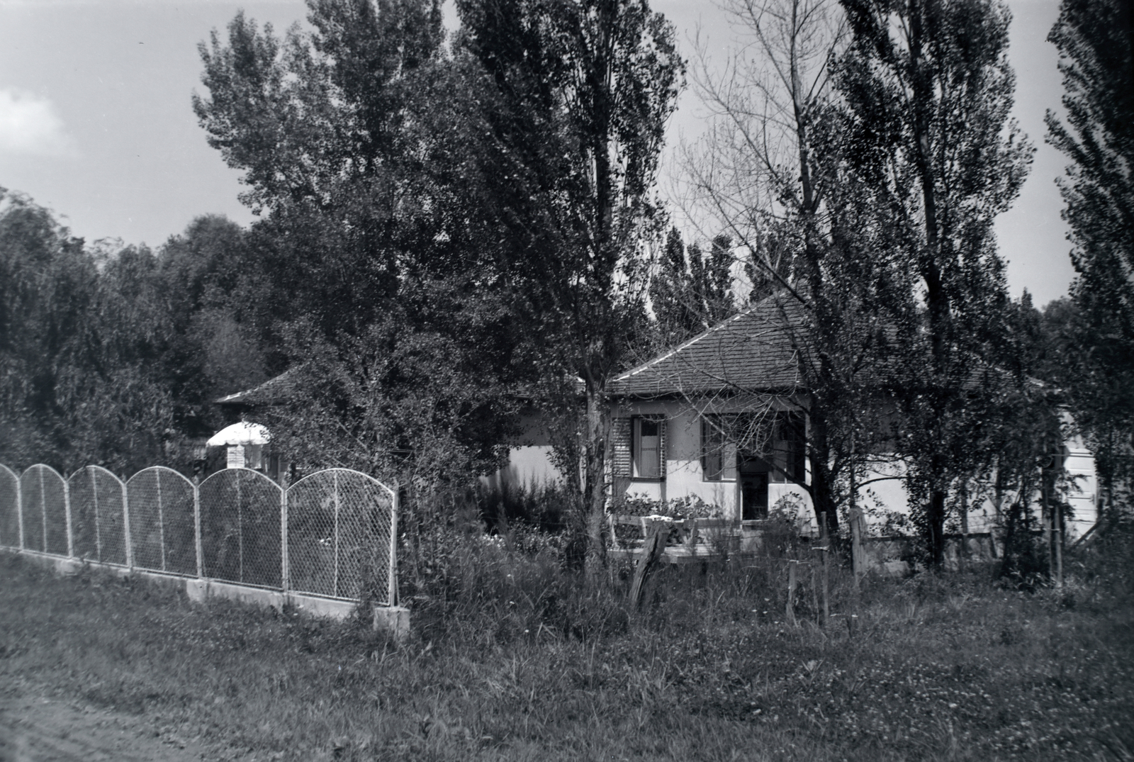 1937, Martin Kornél, fa, nyaraló, Fortepan #196785