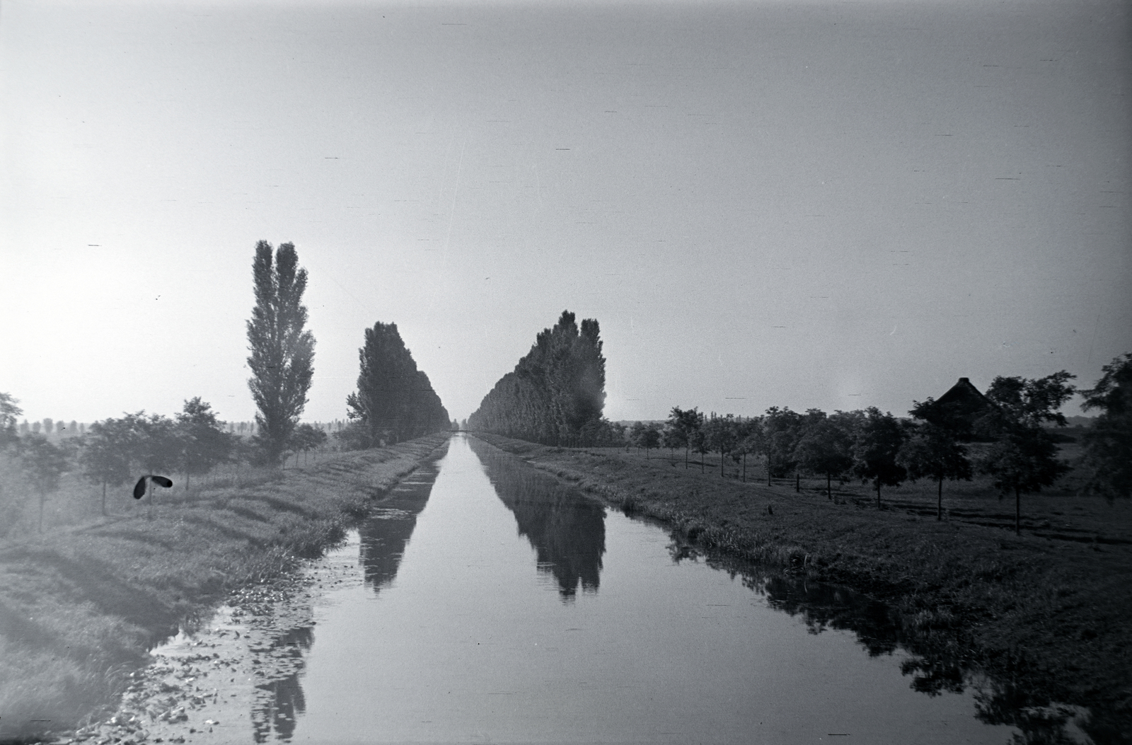 Magyarország, Balatonmáriafürdő, a Nyugati-övcsatorna., 1937, Martin Kornél, fasor, vízpart, látkép, Fortepan #196786