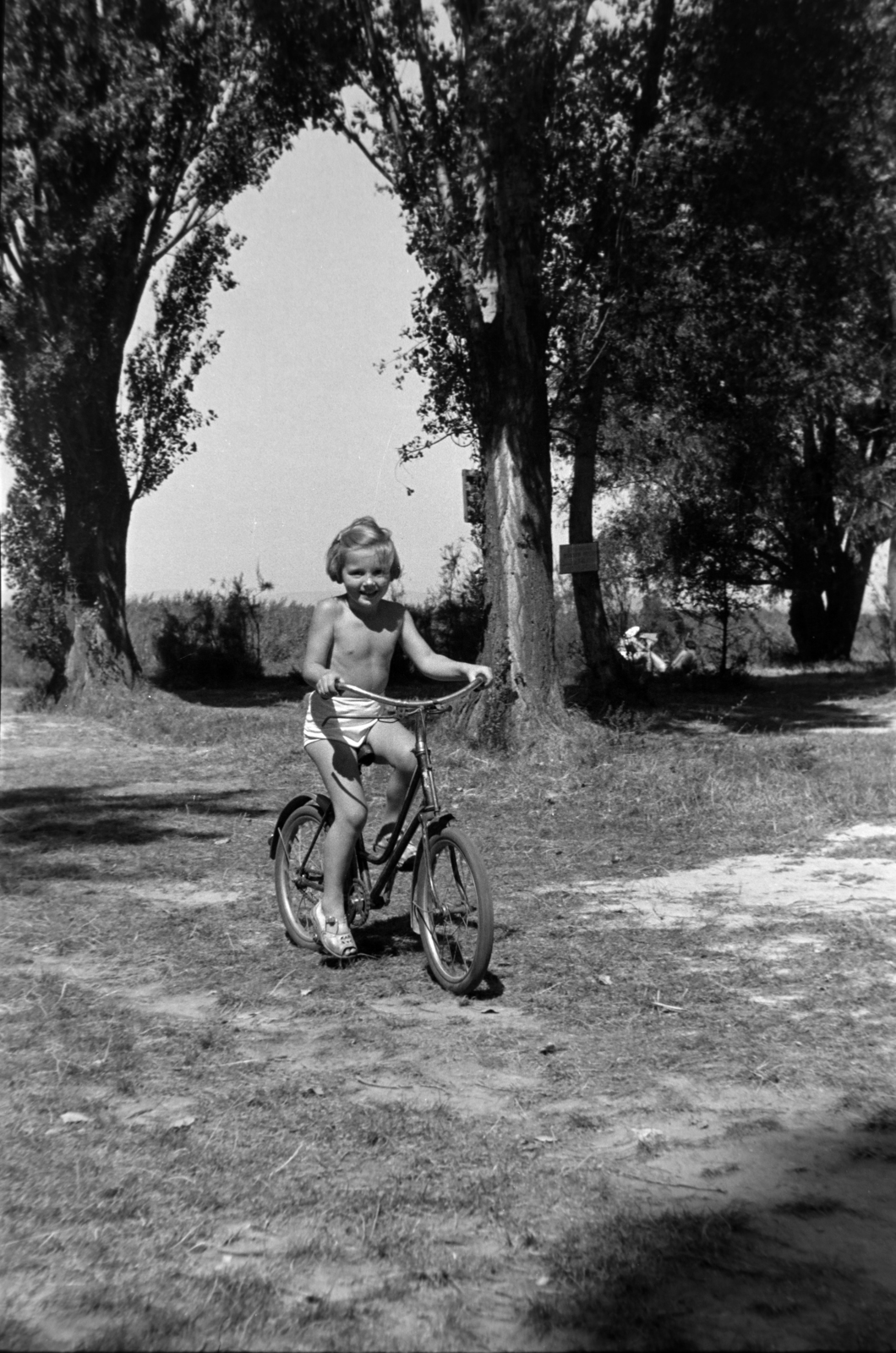 Hungary, Balatonfenyves, 1958, Martin Kornél, girl, bicycle, Fortepan #196926