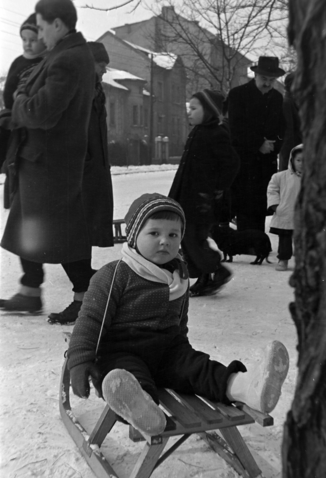 Hungary, Budapest XI., Károli Gáspár tér, háttérben az Ulászló utca 12., 14., 16. számú ház., 1954, Martin Kornél, portrait, snow, sledge, kids, man, Budapest, Fortepan #196935