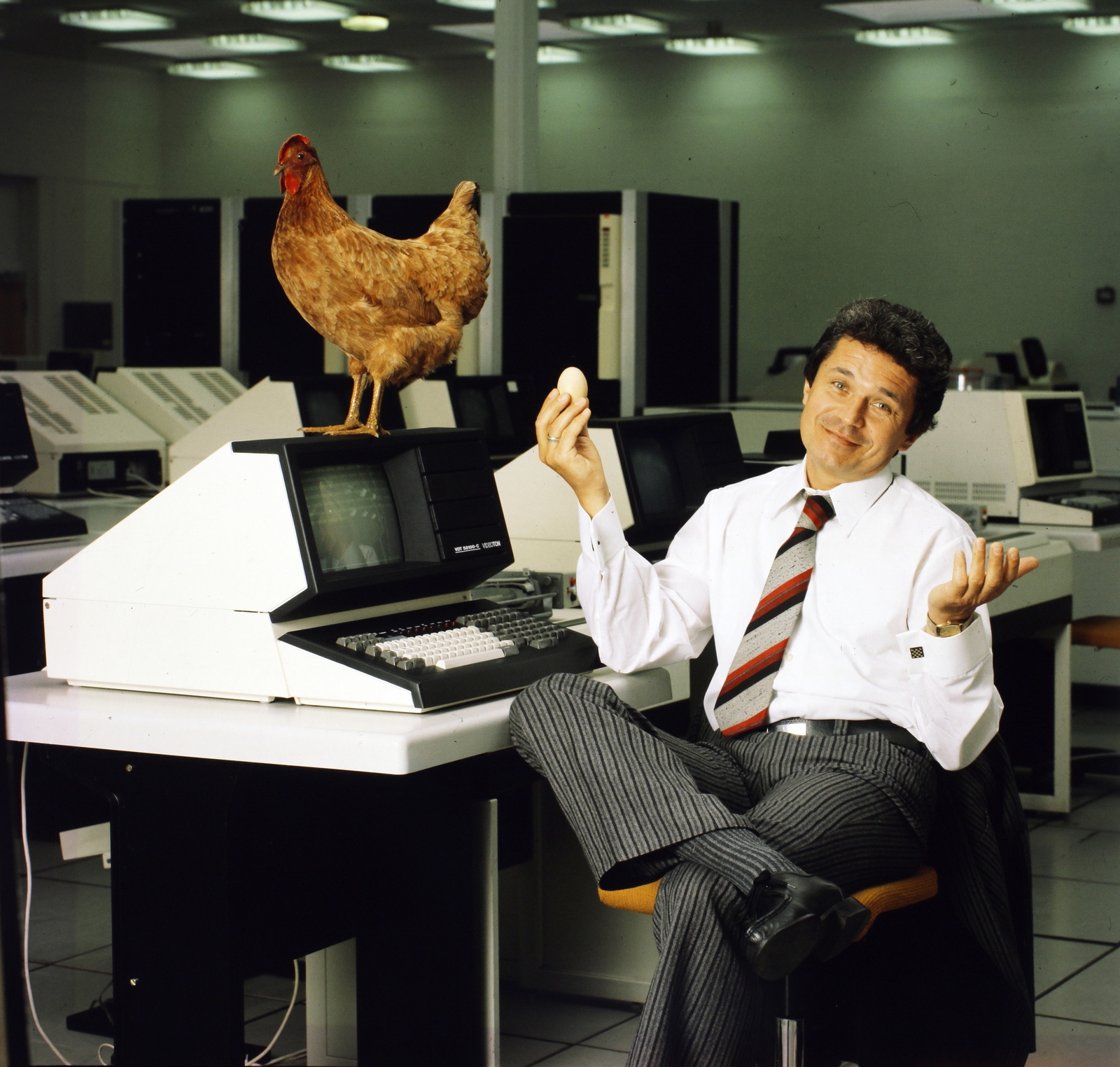 Hungary, Mi volt előbb? A felvétel a Videoton-számítógép reklámplakátjához készült., 1984, Tóth József Füles, colorful, advertising photography, poultry, computer, server room, Fortepan #196983