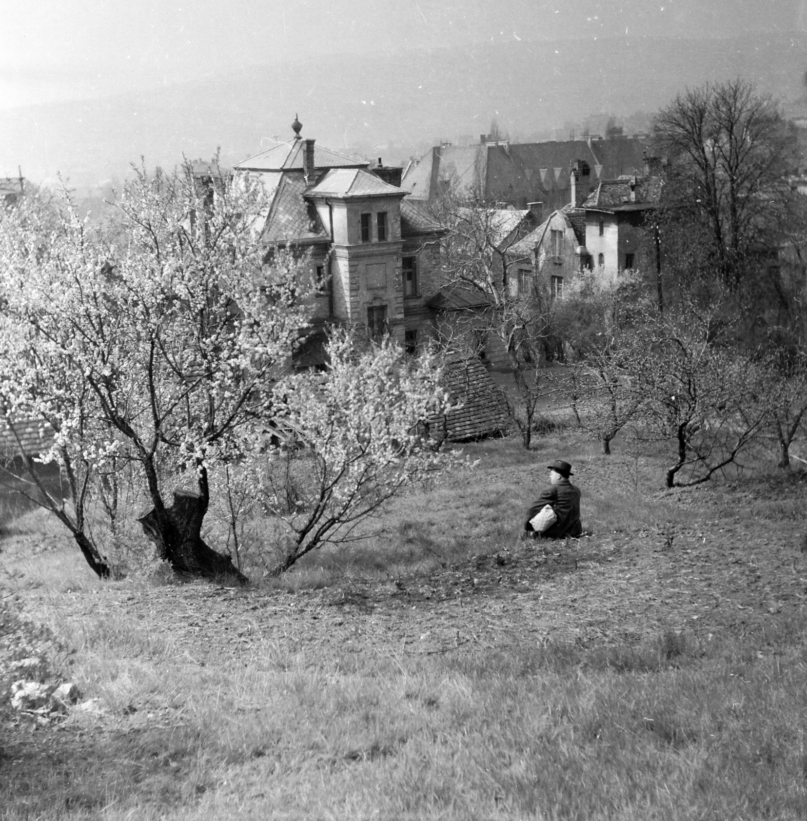 Hungary, Budapest II., kilátás a Mandula utca egyik telkéről a Bolyai utca 11. és 13-as számú ház fgelé. Háttérben az Áldás utcai Álltalános Iskola tetőzete látható., 1955, Keveházi János, Budapest, house, photo aspect ratio: square, picture, relaxation, spring, Fortepan #197210