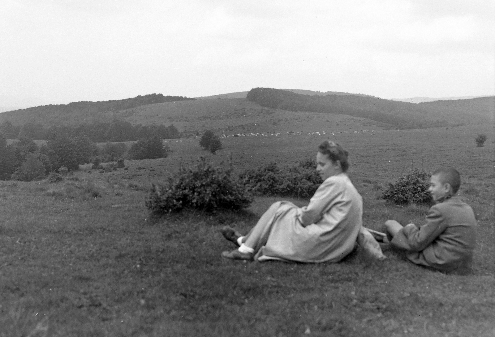 1931, Fortepan, field, landscape, boy, double portrait, mother, meadow, Fortepan #19724