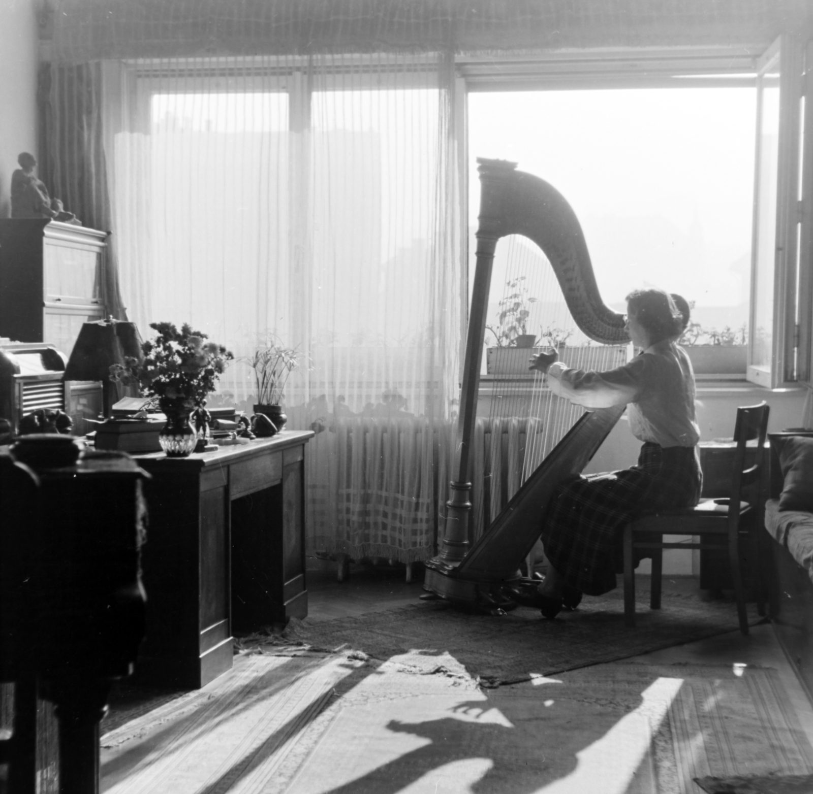 1955, Keveházi János, musical instrument, shadow, photo aspect ratio: square, window, sunshine, harp, silhouette, Fortepan #197299