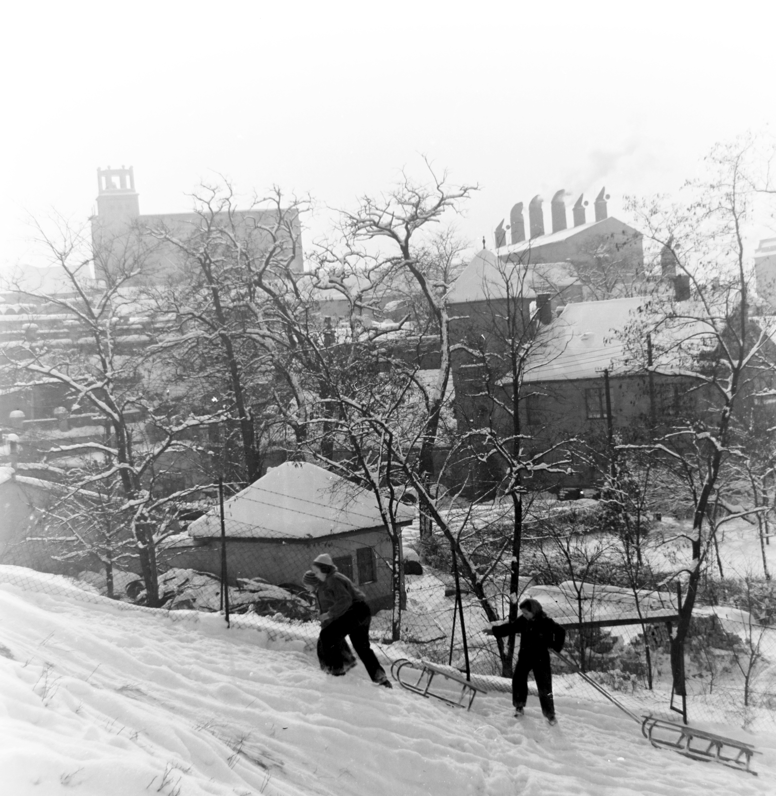 Hungary, Budapest X., szánkópálya a Bebek utcánál, háttérben a Kőbányai Sörgyár épületei., 1955, Keveházi János, Budapest, photo aspect ratio: square, sledge, snowy landscape, Fortepan #197351
