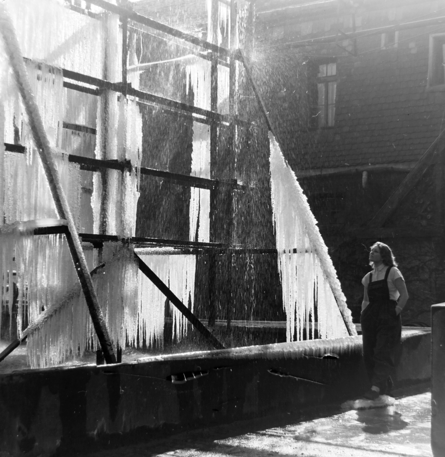 Hungary, Budapest X., Maglódi út 6., Növényolaj és Szappangyár, 1955, Keveházi János, ice, icicle, Budapest, photo aspect ratio: square, Fortepan #197356