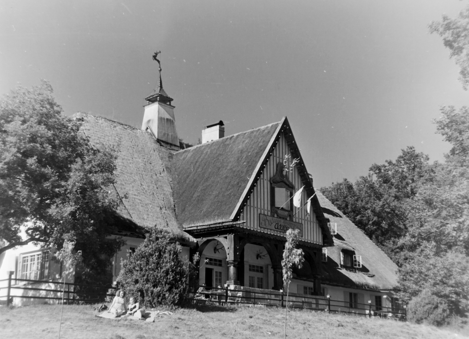 Magyarország, Buják, a Budapesti Konzervgyár Üdülője az egykor vadászkastélyban., 1957, Keveházi János, szarvas, Fortepan #197541