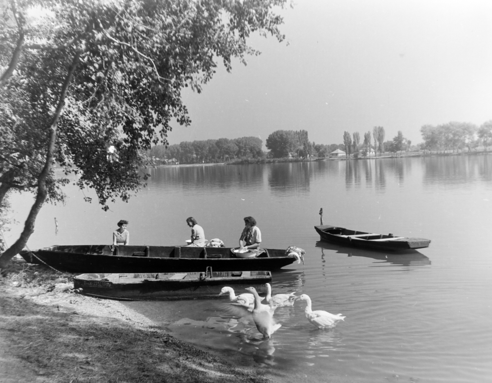 1957, Keveházi János, barge, shore, poultry, Fortepan #197566