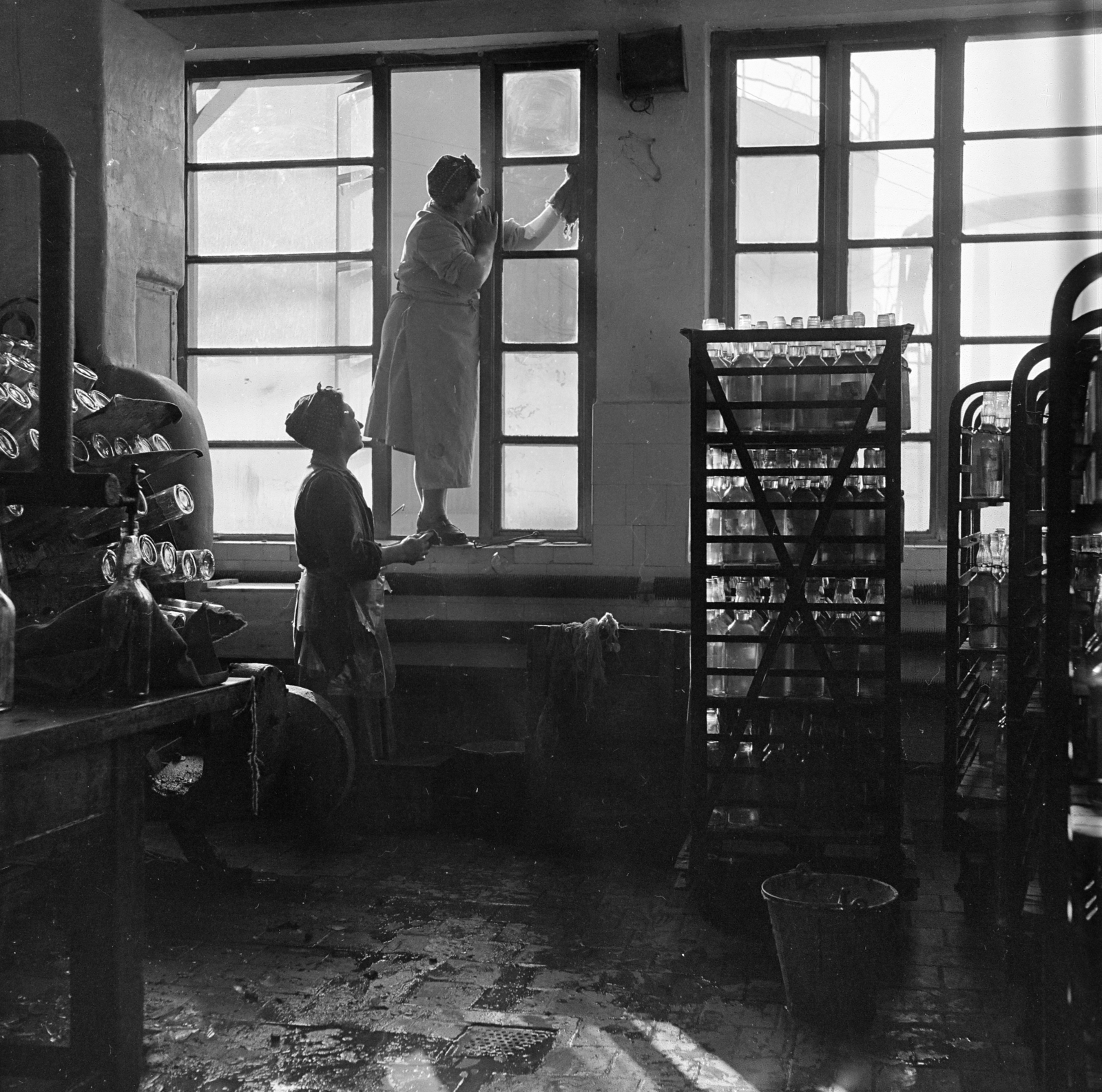 Hungary, Budapest X., Maglódi út 6., Növényolaj és Szappangyár., 1958, Keveházi János, Budapest, Best of, window cleaning, photo aspect ratio: square, women, Fortepan #197592