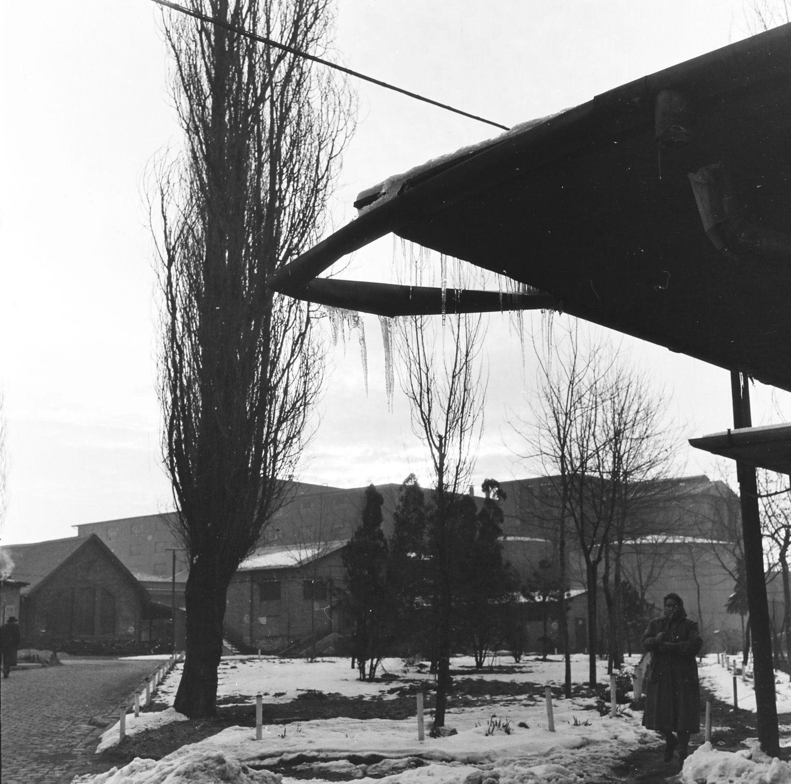 1958, Keveházi János, photo aspect ratio: square, woman, wood, house, snow, headscarf, winter, Fortepan #197606